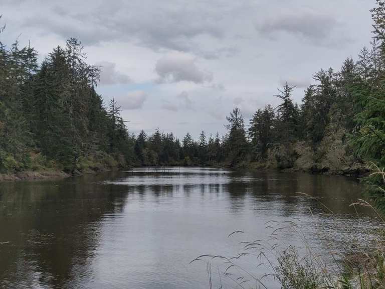 Preachers Slough Trail — Chehalis River Surge Plain Natural Area ...