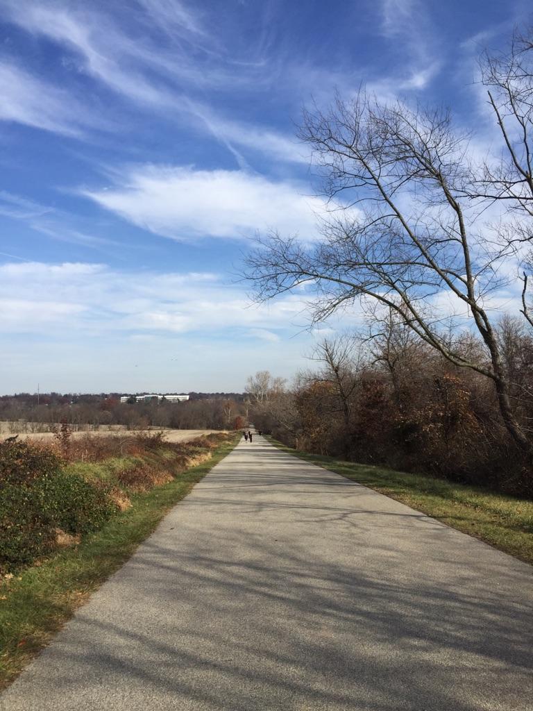 Paved path with distant walkers, bordered by bare trees under a bright blue sky.