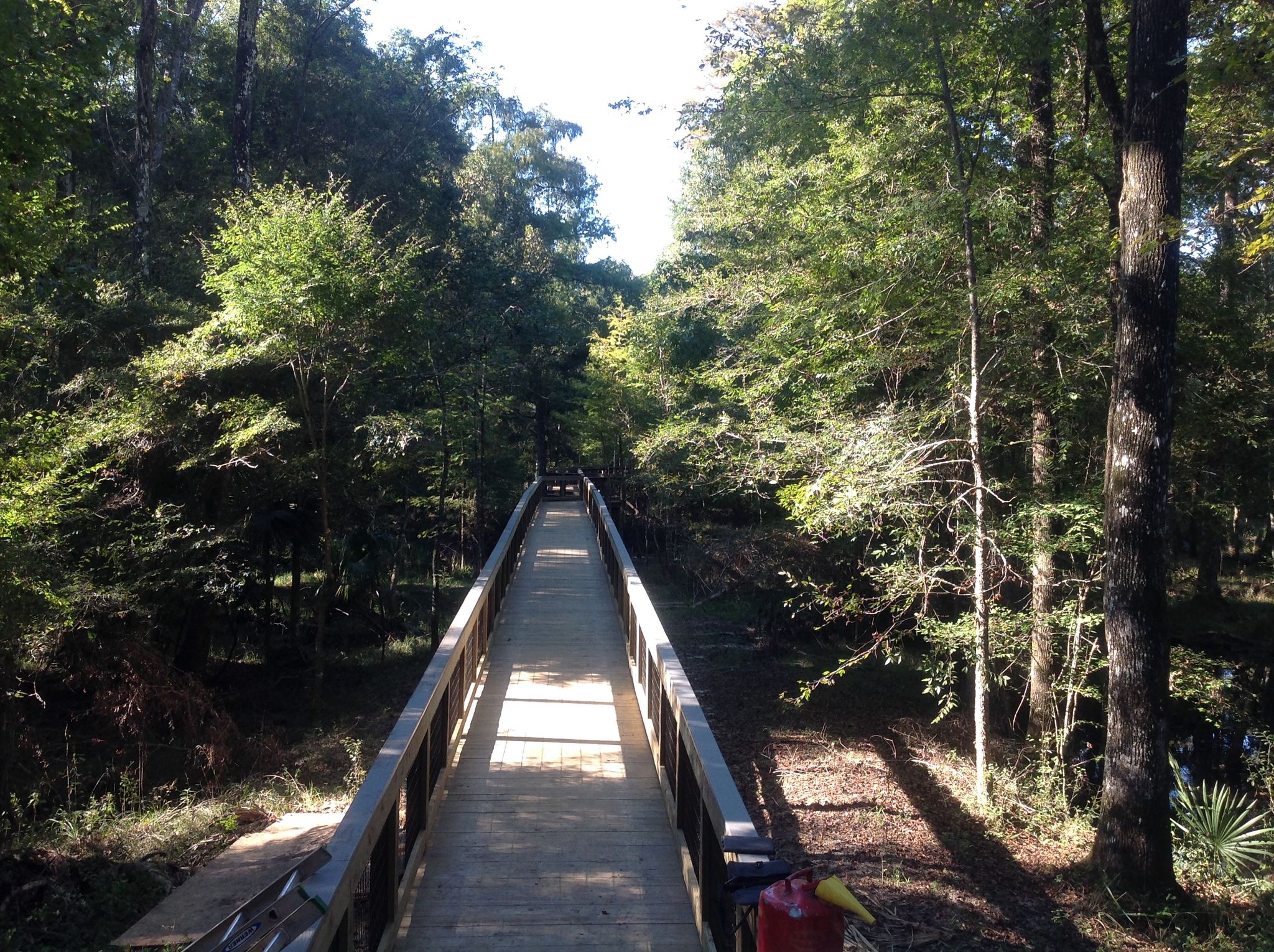 Long wooden boardwalk extending through a dense forest with bright sunlight. - Half Moon Wildlife Management Area loop