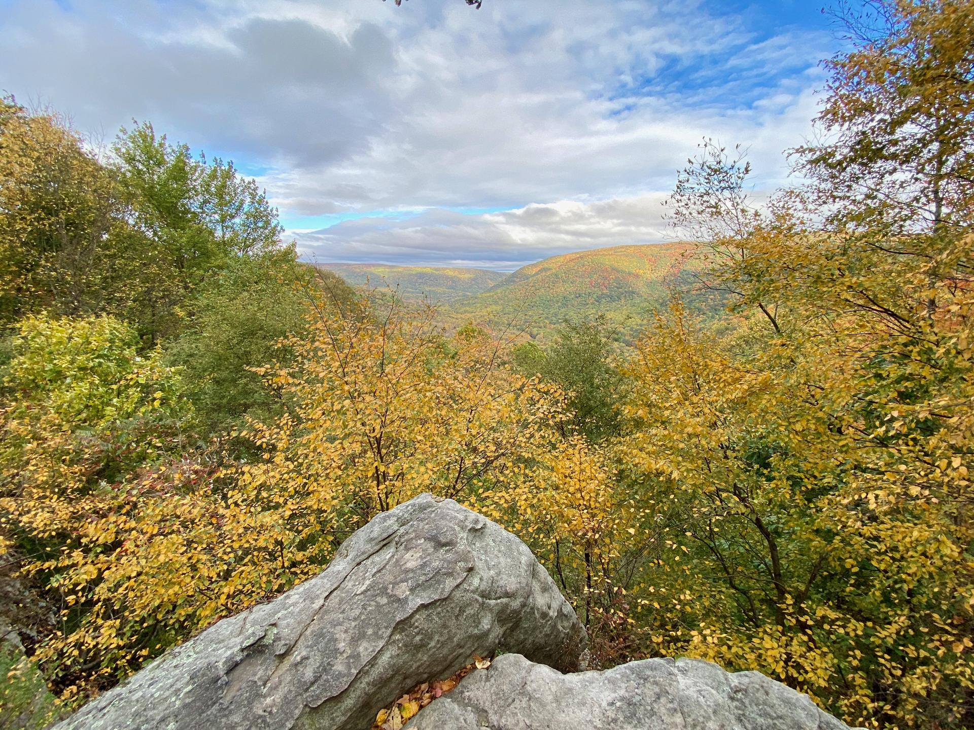 Panoramic view of a valley with vibrant autumn trees under a partly cloudy sky.