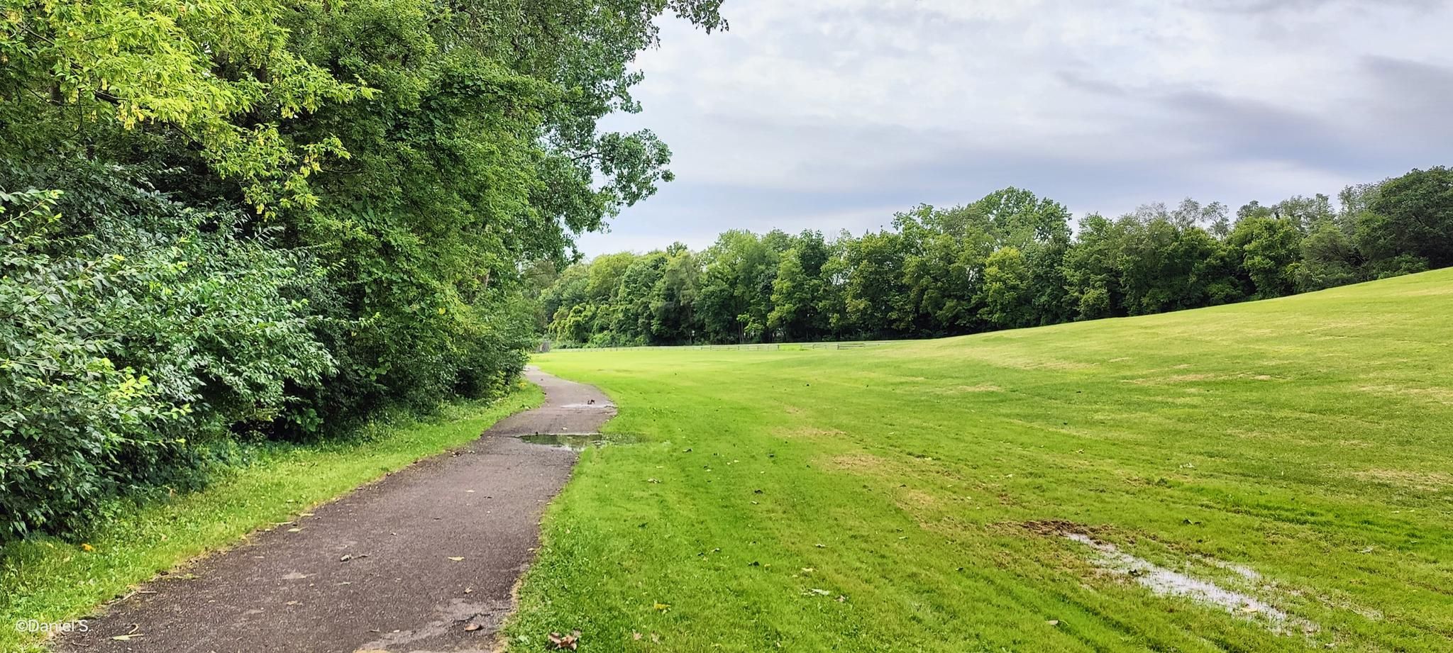 A paved path winds beside a large green field under an overcast sky. - Hines Park Trail
