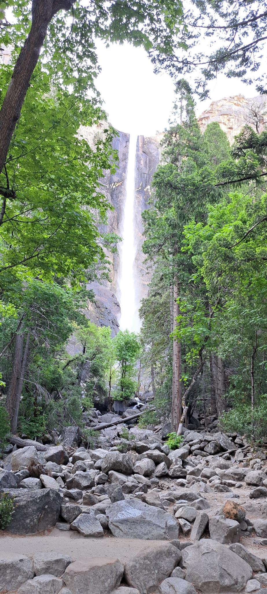 Tall waterfall framed by green trees and a rocky stream bed, bright light.