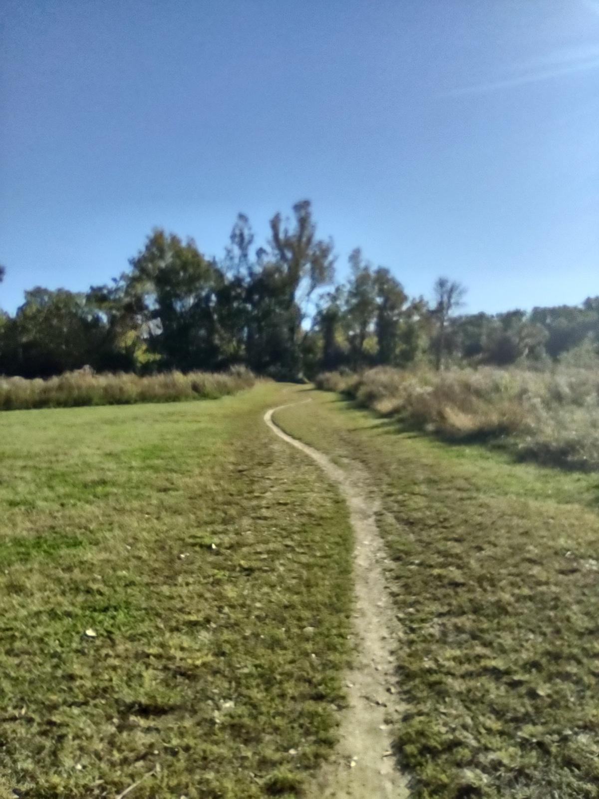 Sunny day on a narrow dirt path winding through a grassy field.