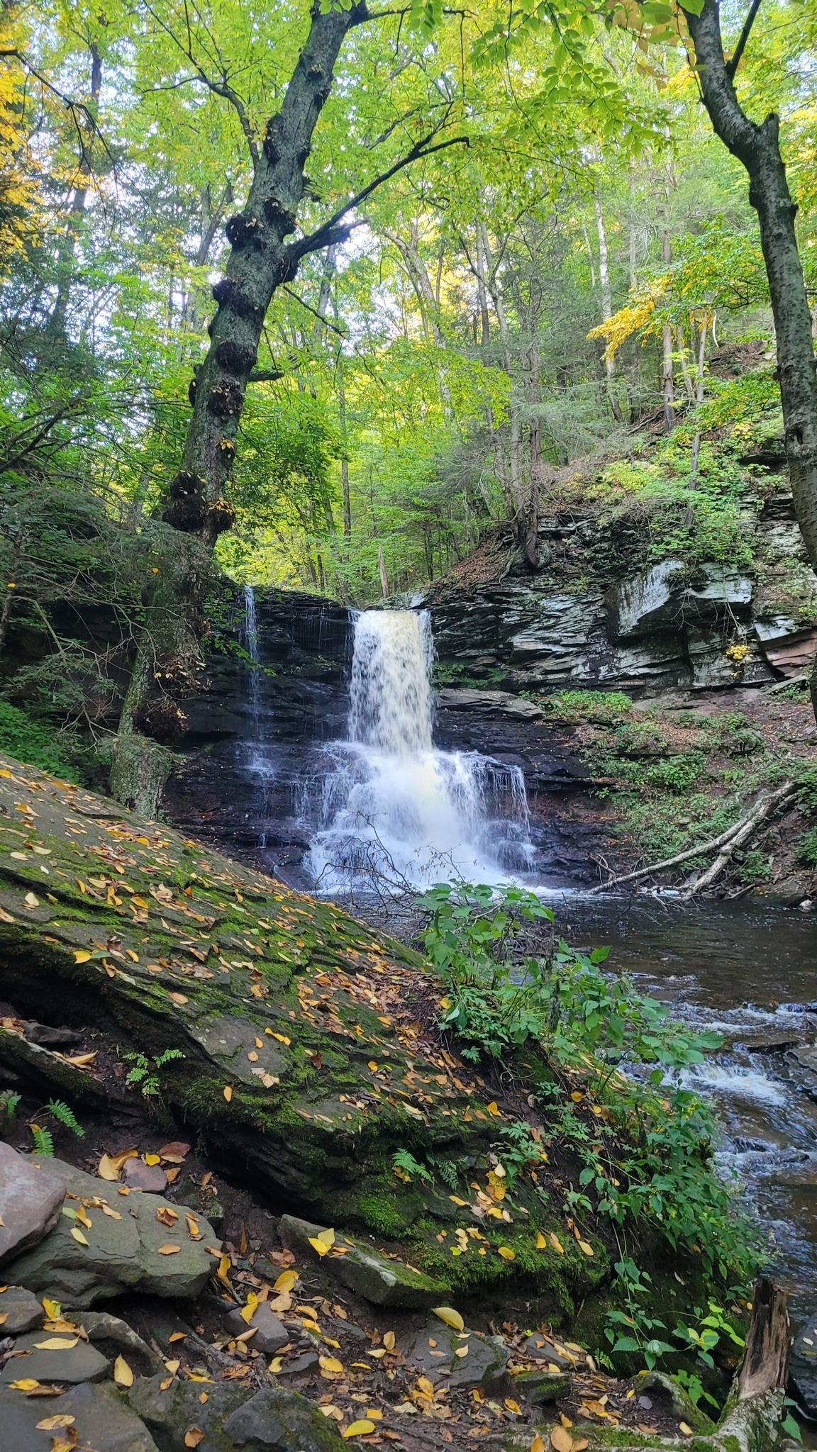A multi-tiered waterfall cascades into a stream in a lush green forest.