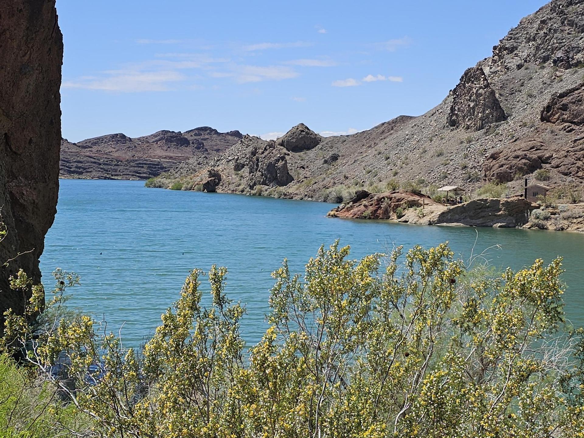 Blue lake surrounded by rocky desert mountains, with green bushes in foreground.