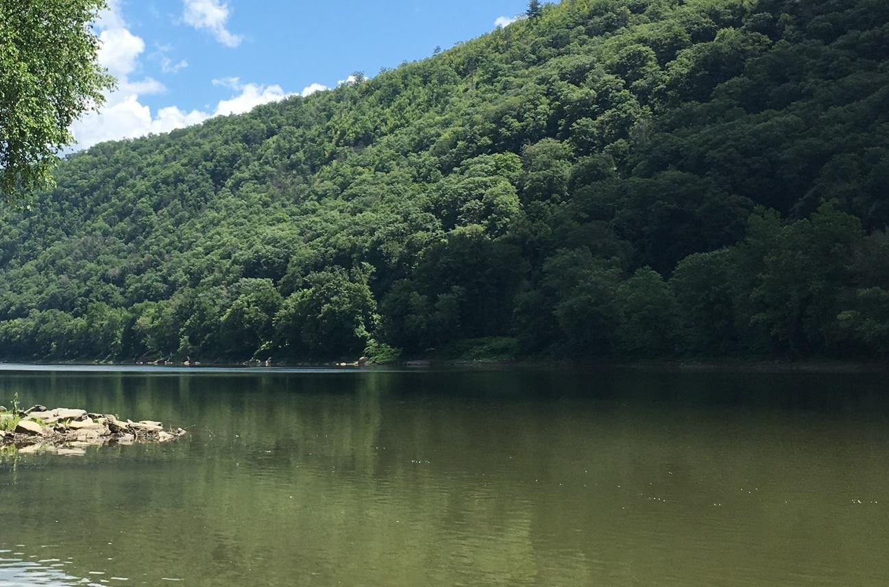 Calm river reflecting a lush, green, forested hillside on a bright, sunny day.