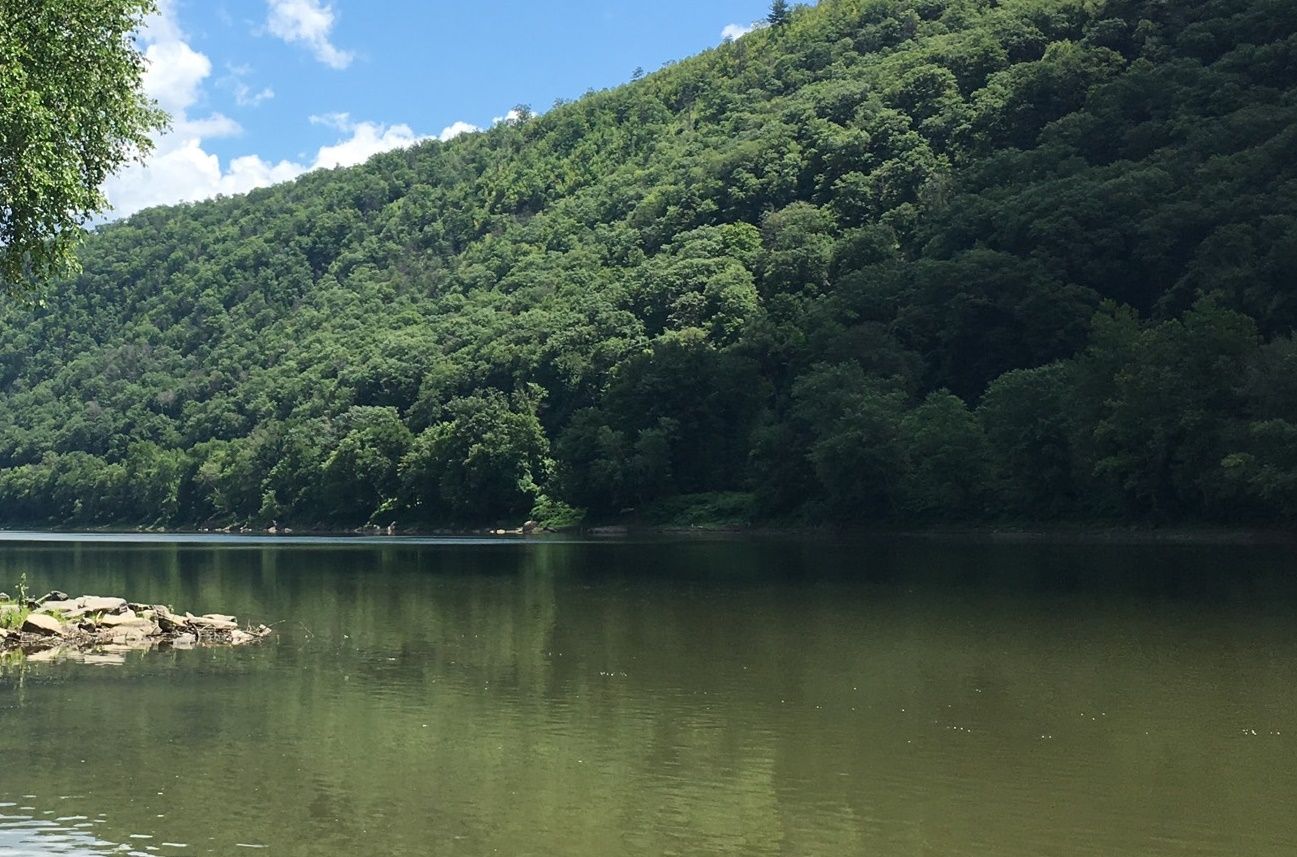 Calm river reflecting a lush, green, forested hillside on a bright, sunny day. - Mocanaqua Loop Trail