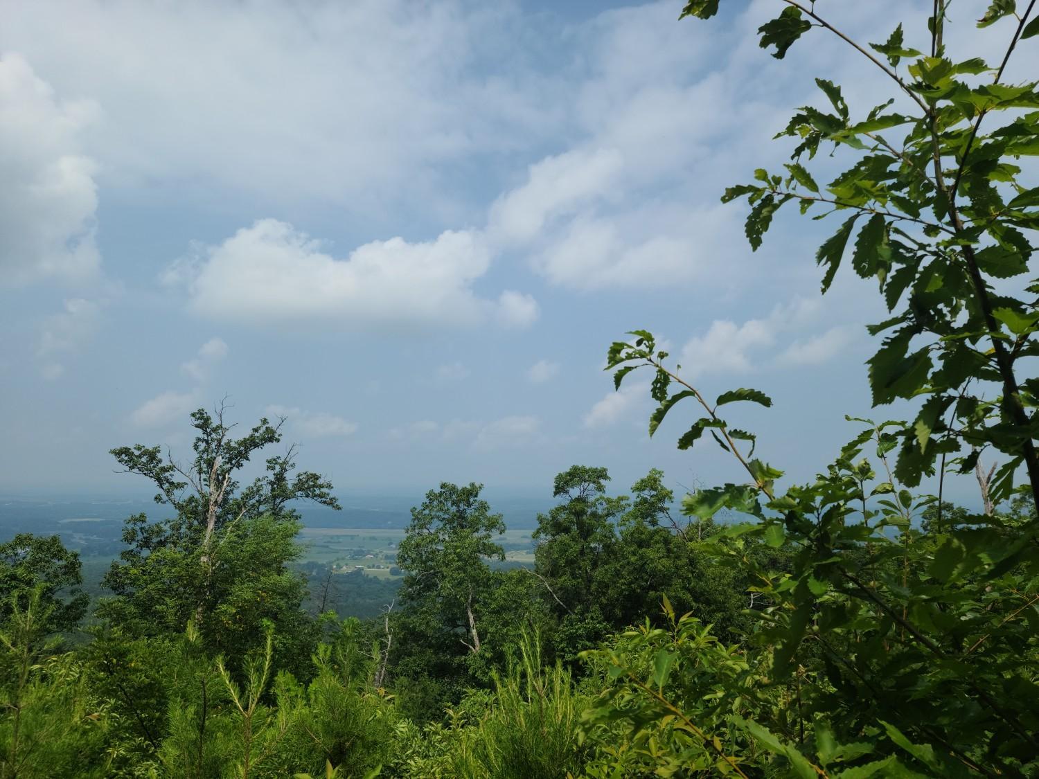 Lush green forest canopy with a distant hazy landscape under a cloudy sky.