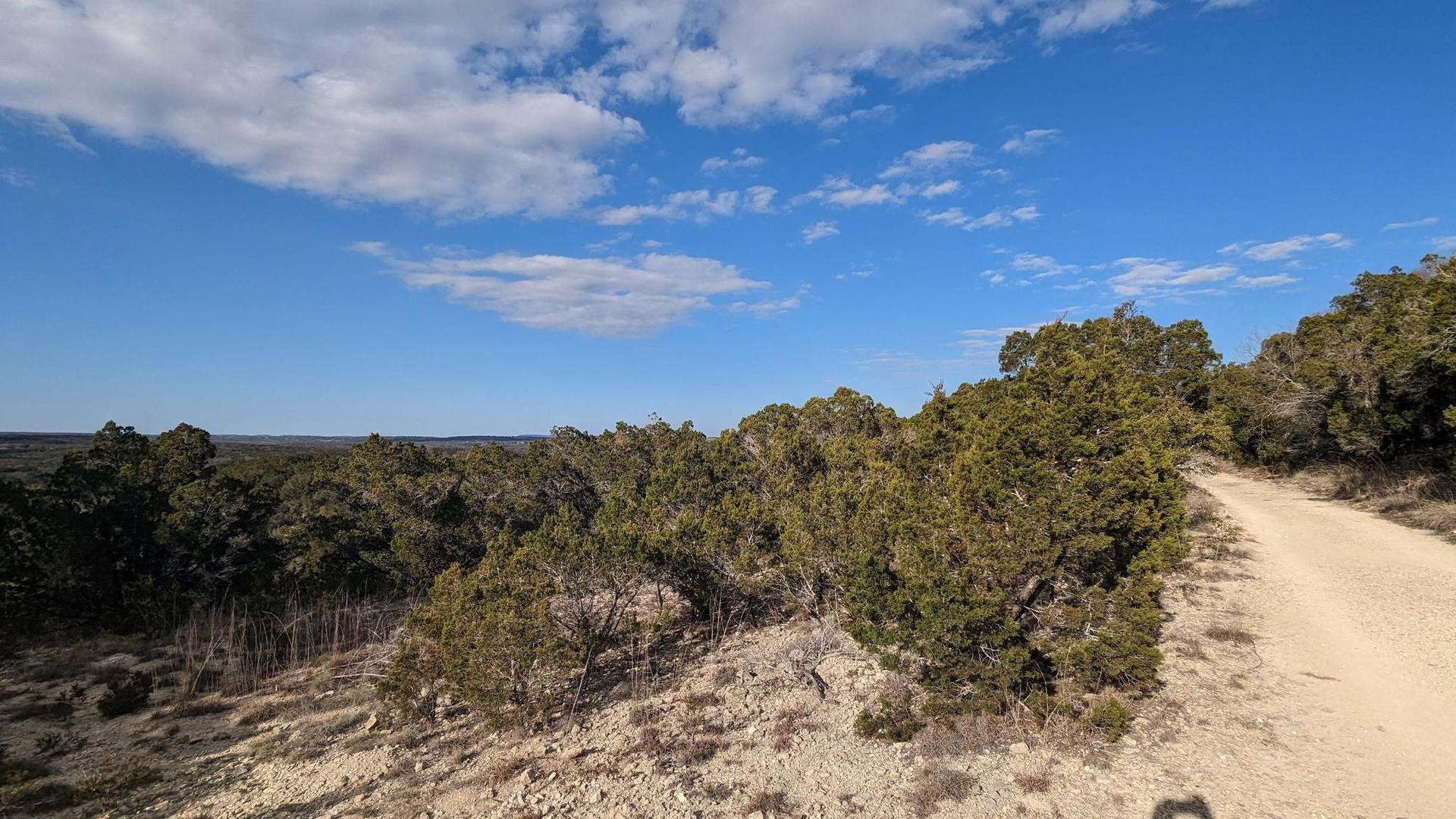 A dirt road winds through a sunny, dry landscape with green trees.