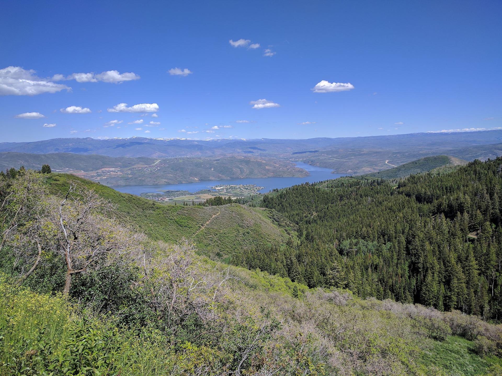 Panoramic view of a winding lake through forested mountains under a bright blue sky.