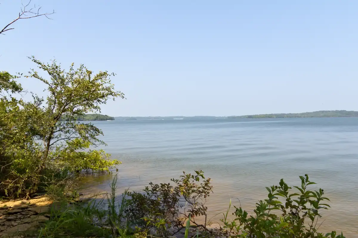 Expansive calm lake with green foliage in foreground under clear sky.