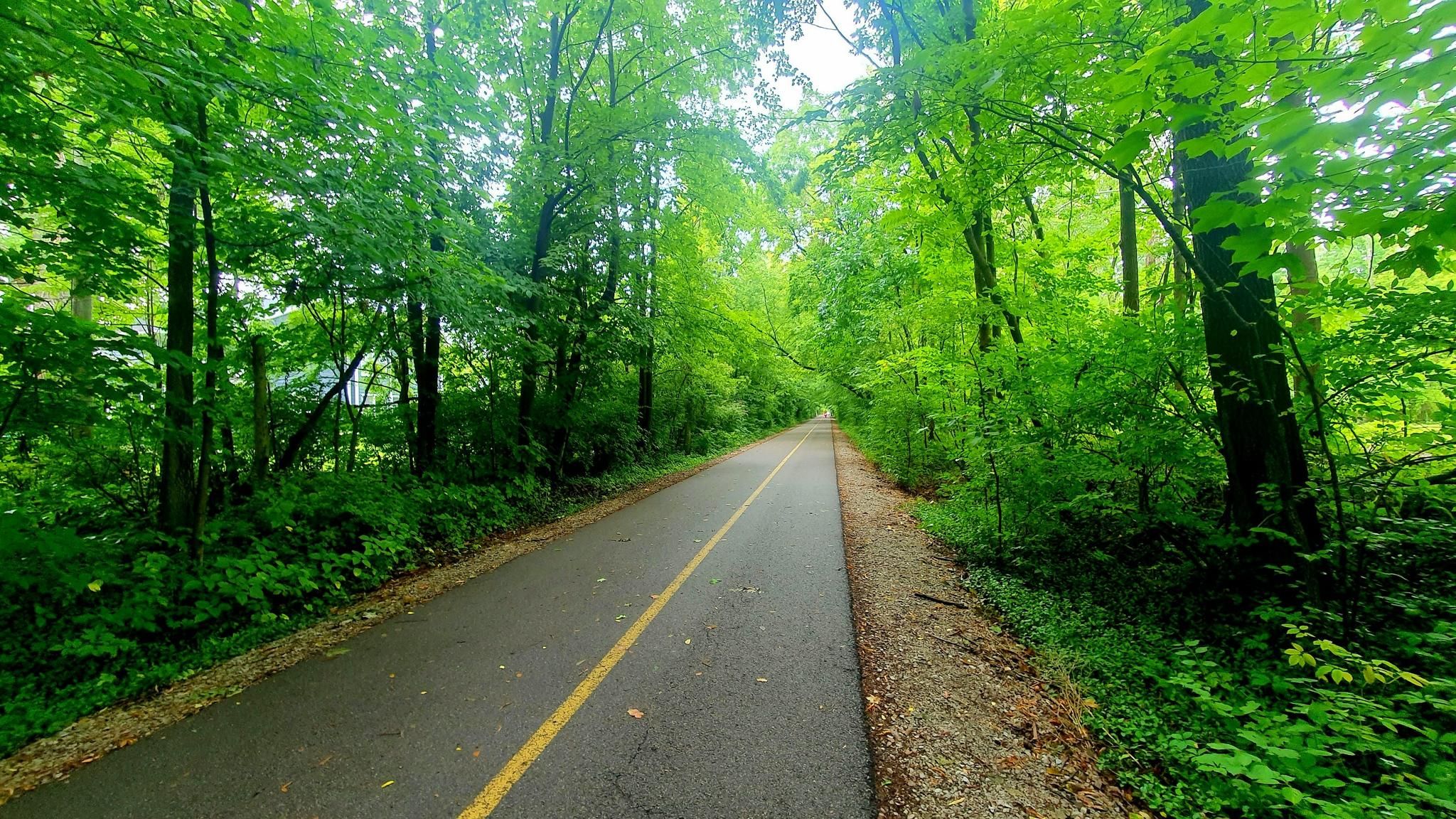 Paved path with yellow line through a vibrant green forest tunnel. Bright daylight. - Nickel Plate Trail