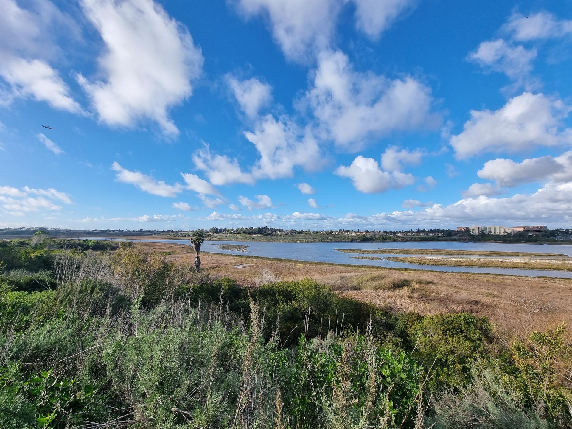Expansive marshland and water under a bright, cloudy blue sky.