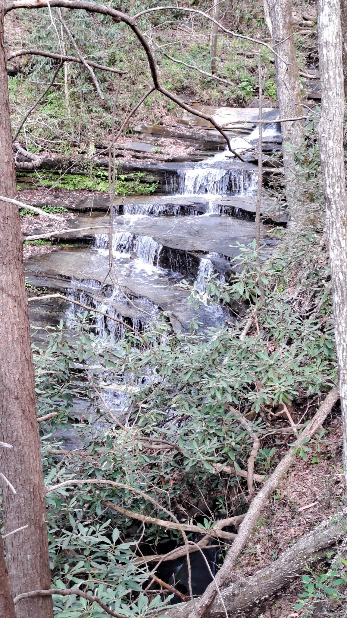 Tiered waterfall flowing over dark rocks amidst dense forest foliage.
