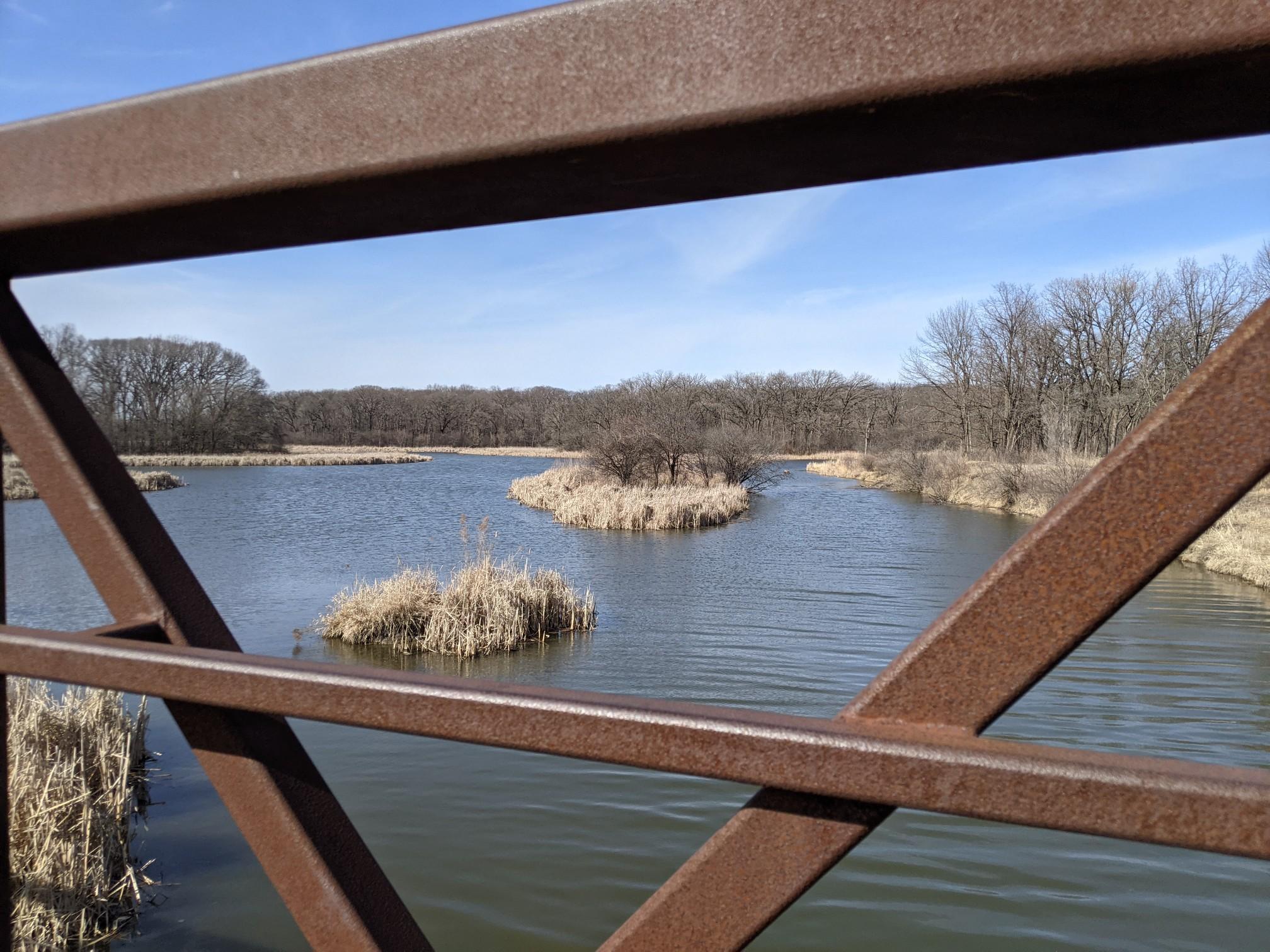 View through a metal railing of a sunny wetland with water and reedy islands.