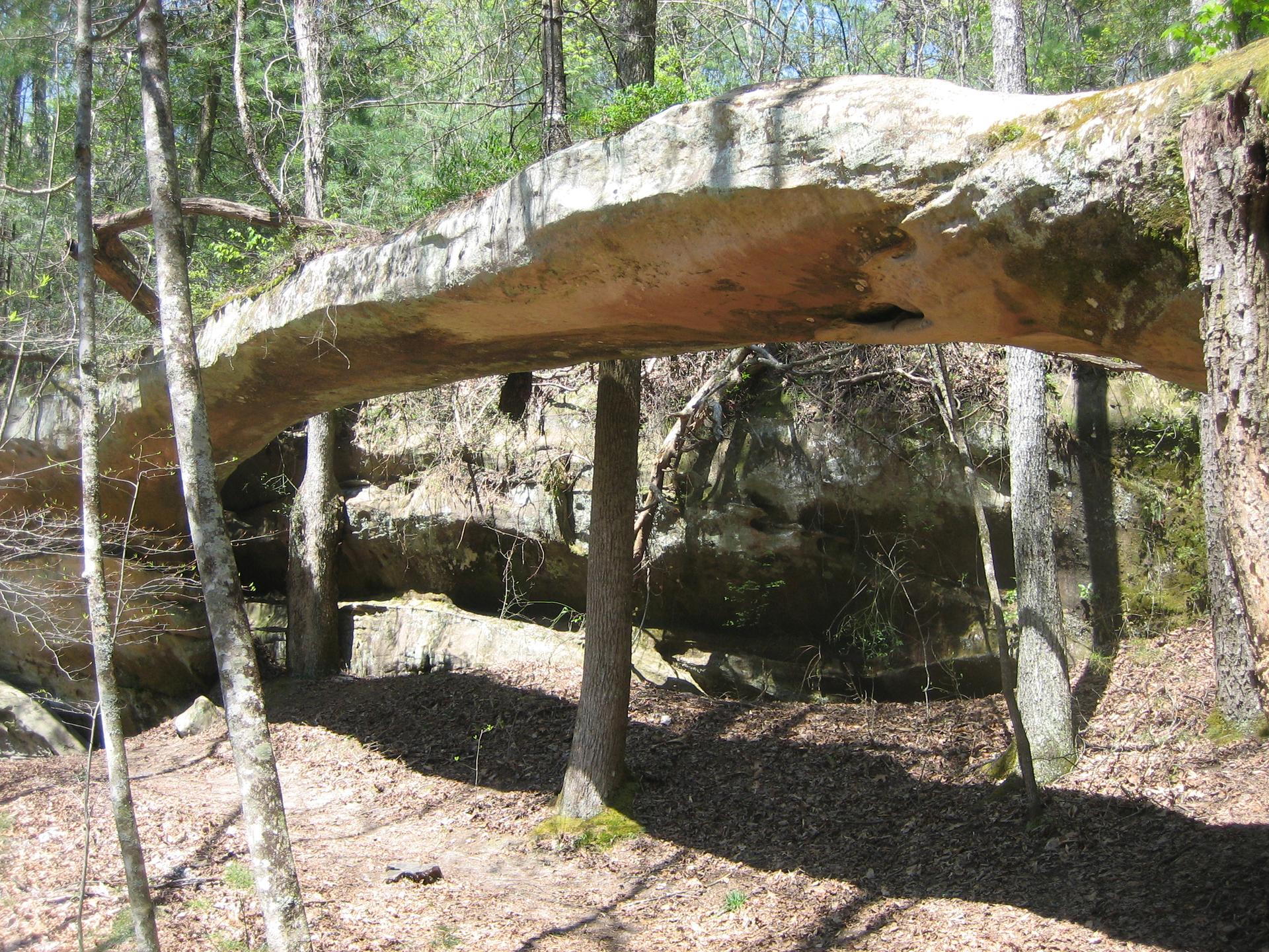 A natural rock arch spans a forest floor with dappled sunlight.