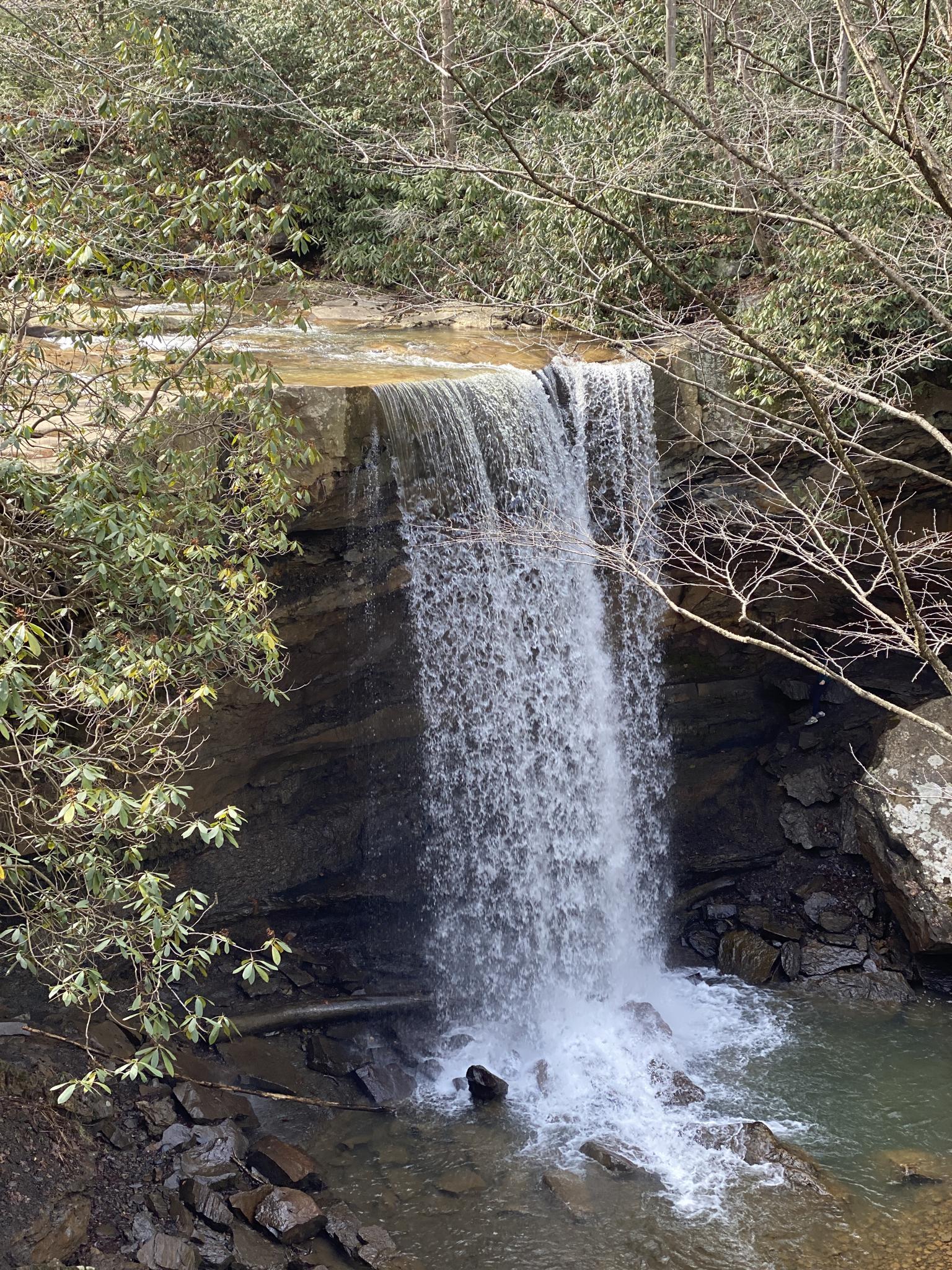 A waterfall cascades over a rock ledge into a pool, surrounded by trees.