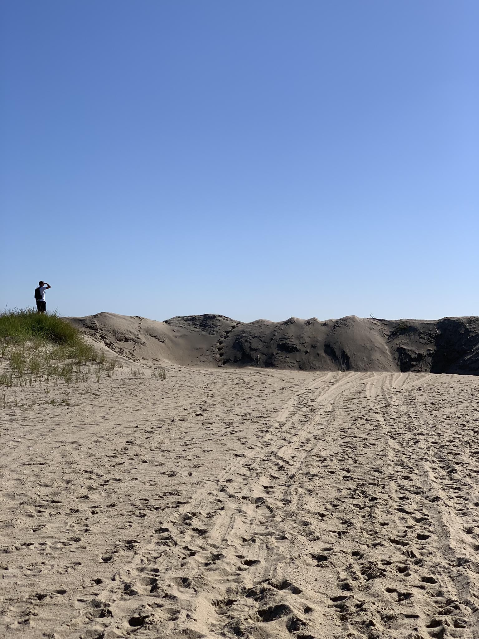 Person standing on a grassy dune overlooking vast sand dunes under clear sky. - Beach D – Nike Missile Launch Site NY-56 loop from South Island