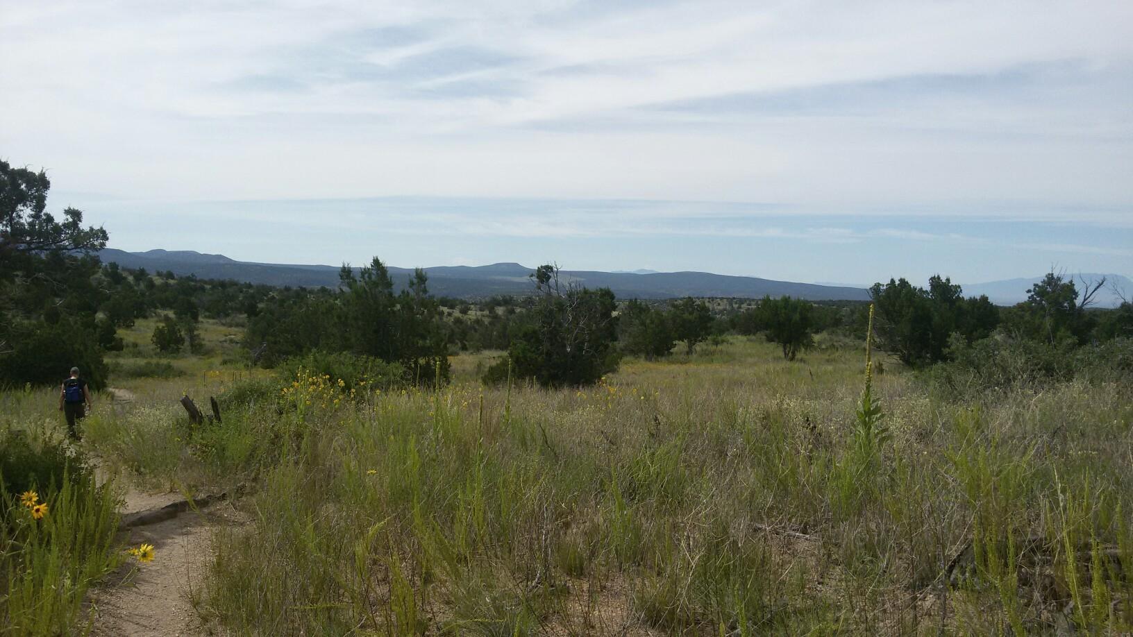 Wide open grassy field with distant hills and a person on a dirt path.