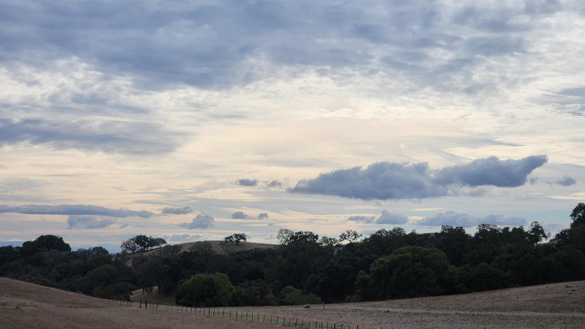 Overcast sky above dry rolling hills with dark green trees and a fence.