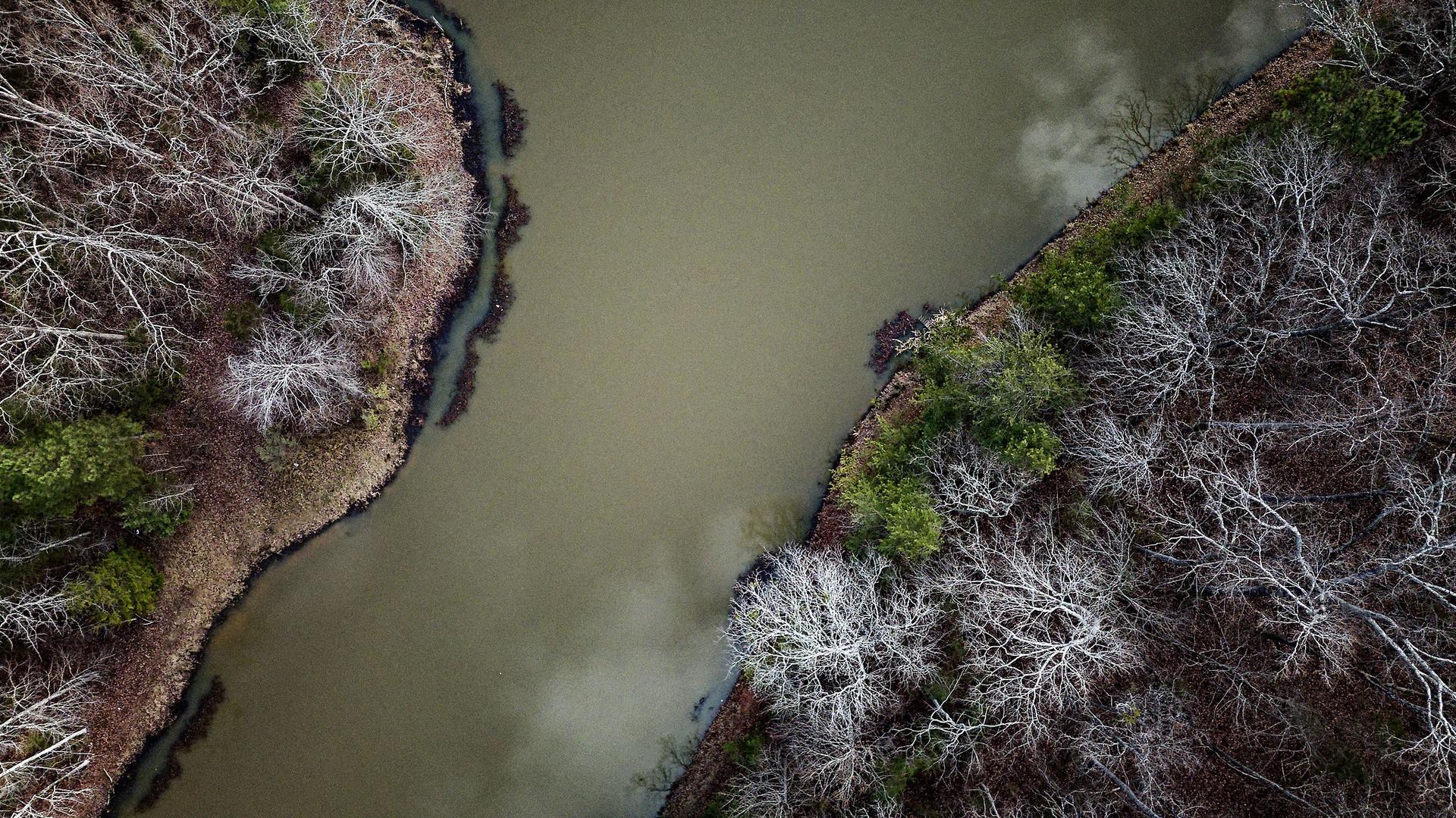 Aerial view of a murky river winding through bare and evergreen trees.