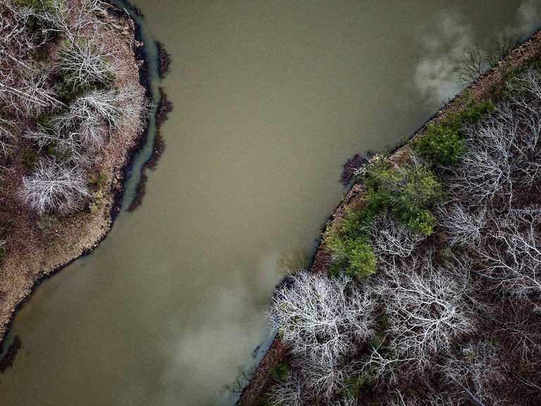 Loop dell'area di gestione della fauna selvatica di Draper — Contea di