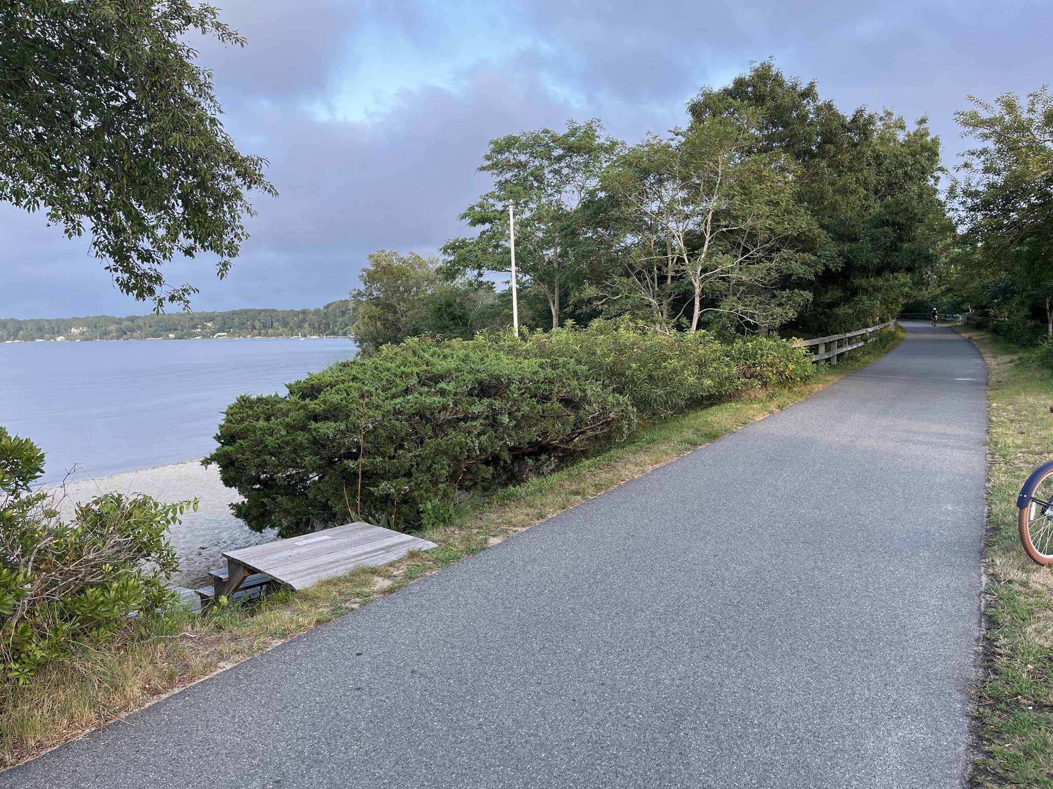Paved path next to a lake with sandy beach and green bushes.