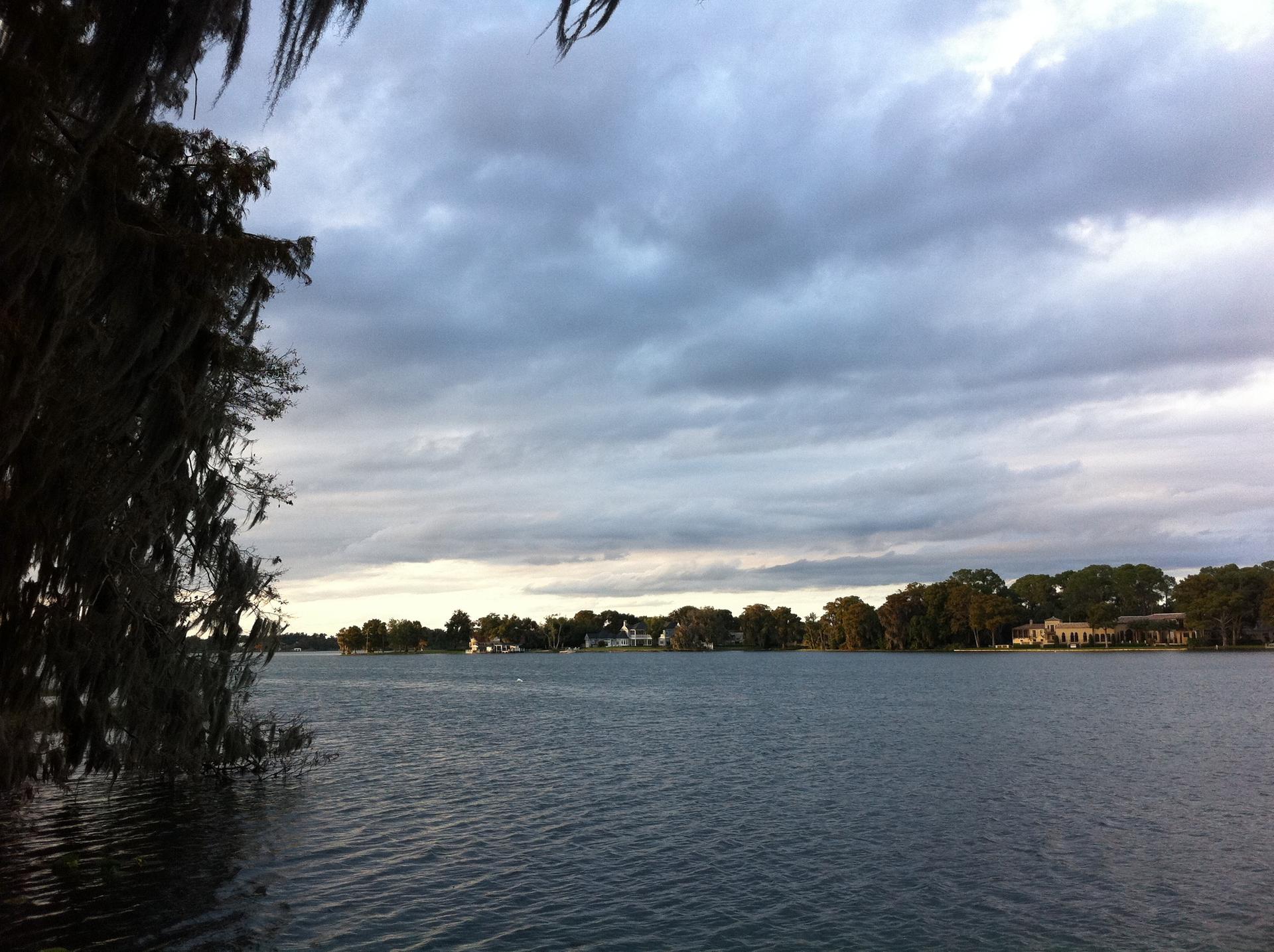 A dark tree overhangs a wide lake under a gray, cloudy sky.