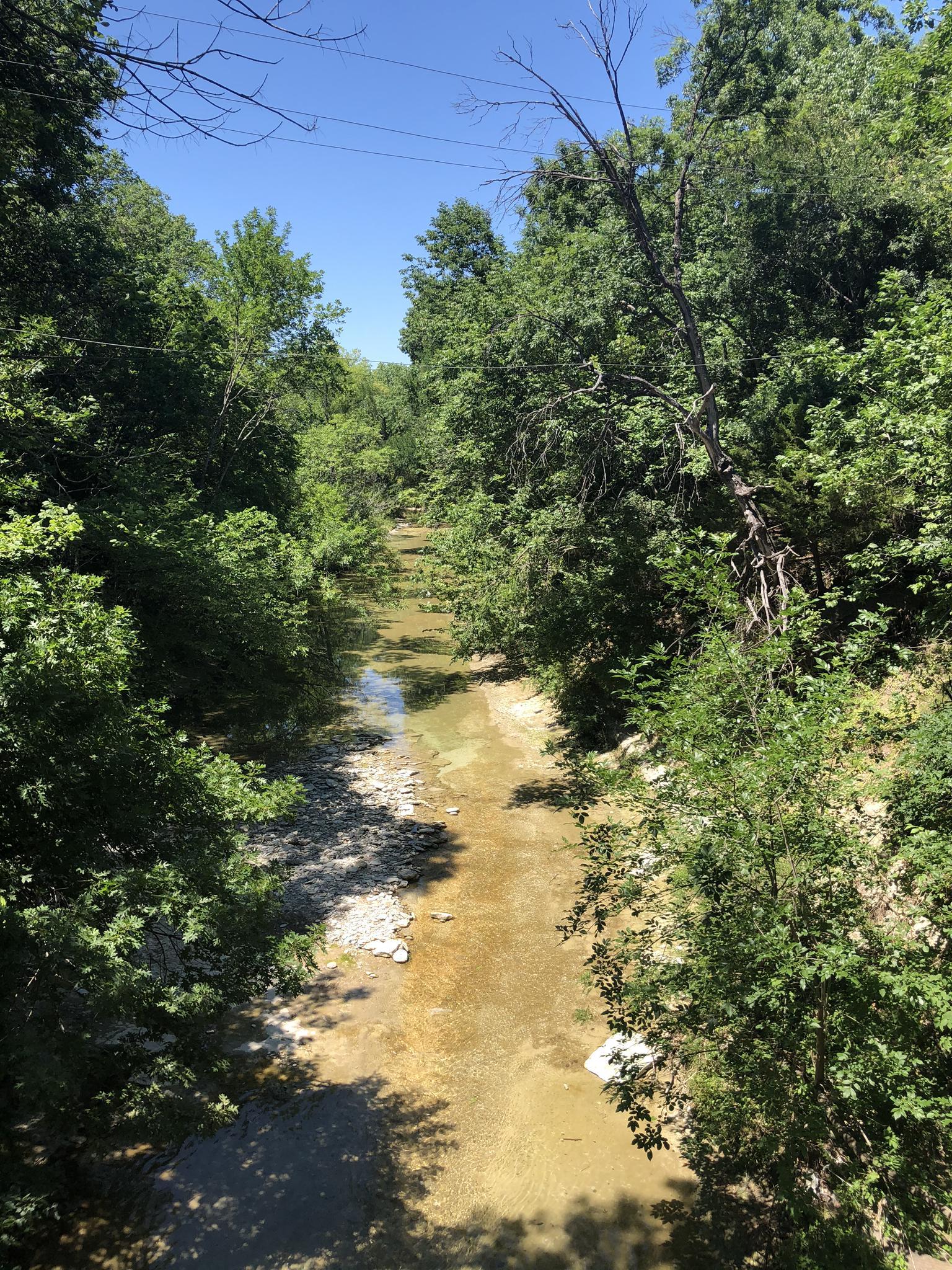 A clear, shallow creek winds through a lush green forest under bright sunlight.