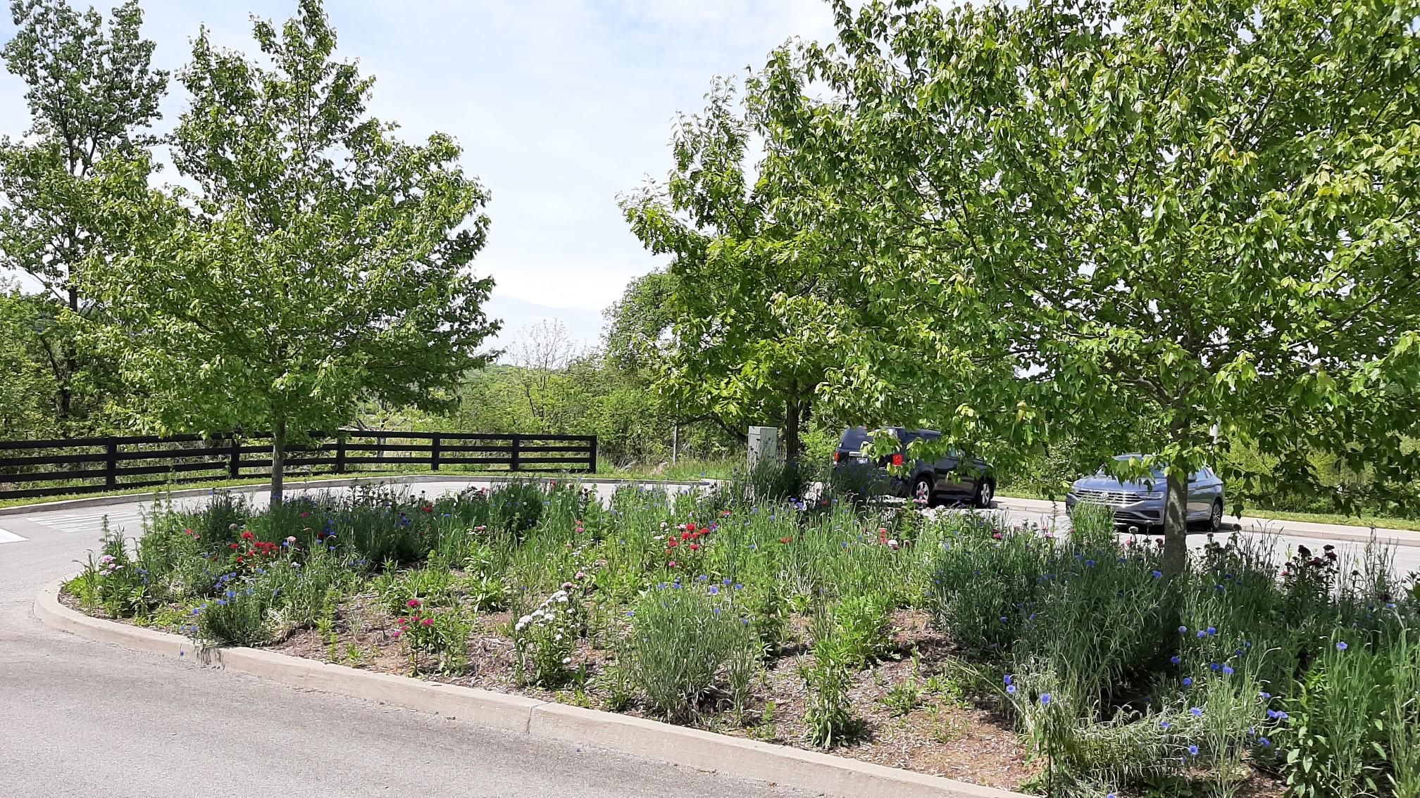 Landscaped island with green trees, flowers, and parked cars on a sunny day. - Karst Climb, Highland Crossing, and Louisville Loop