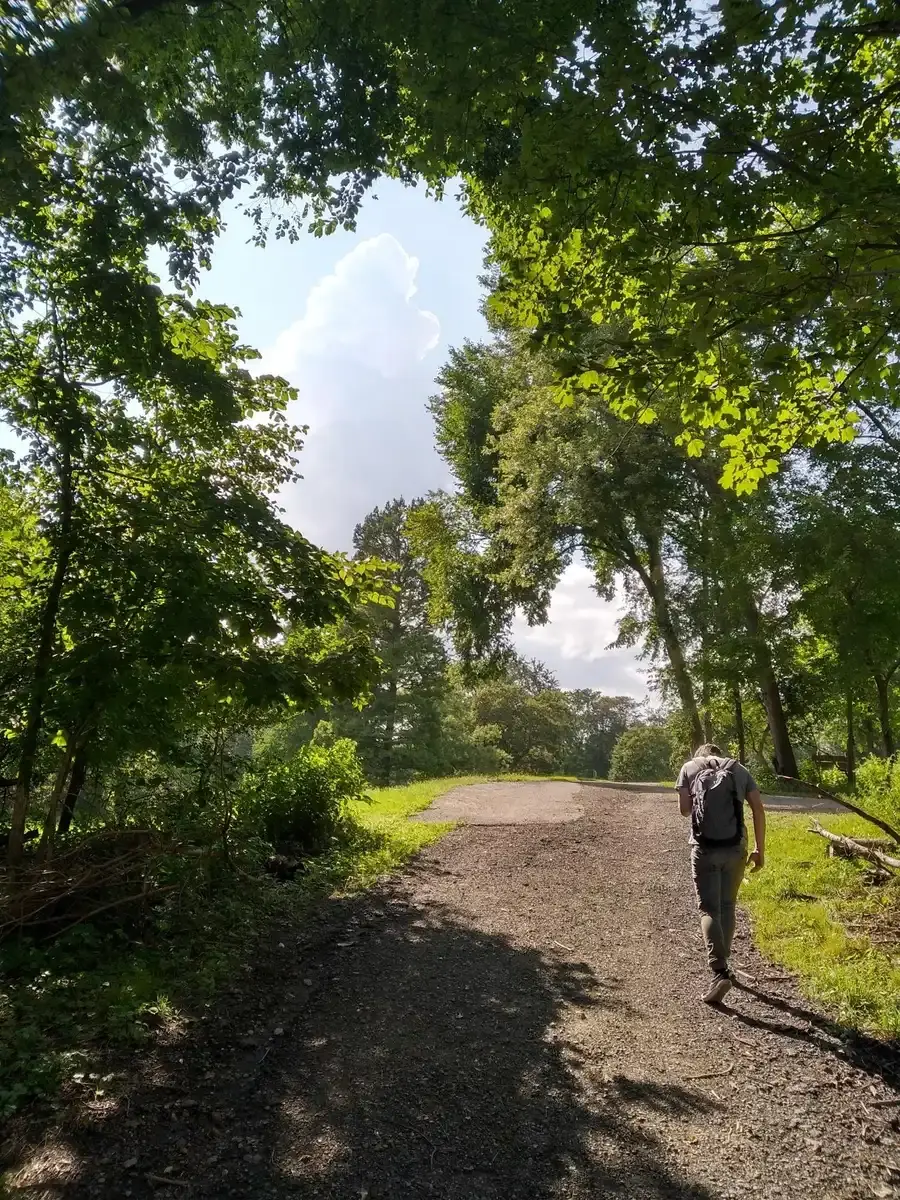 Person with backpack walks on a sunlit dirt path through green woods.