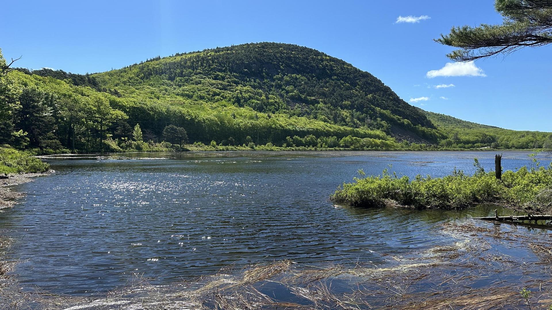 Sunny lake with green forested mountain under a clear blue sky.