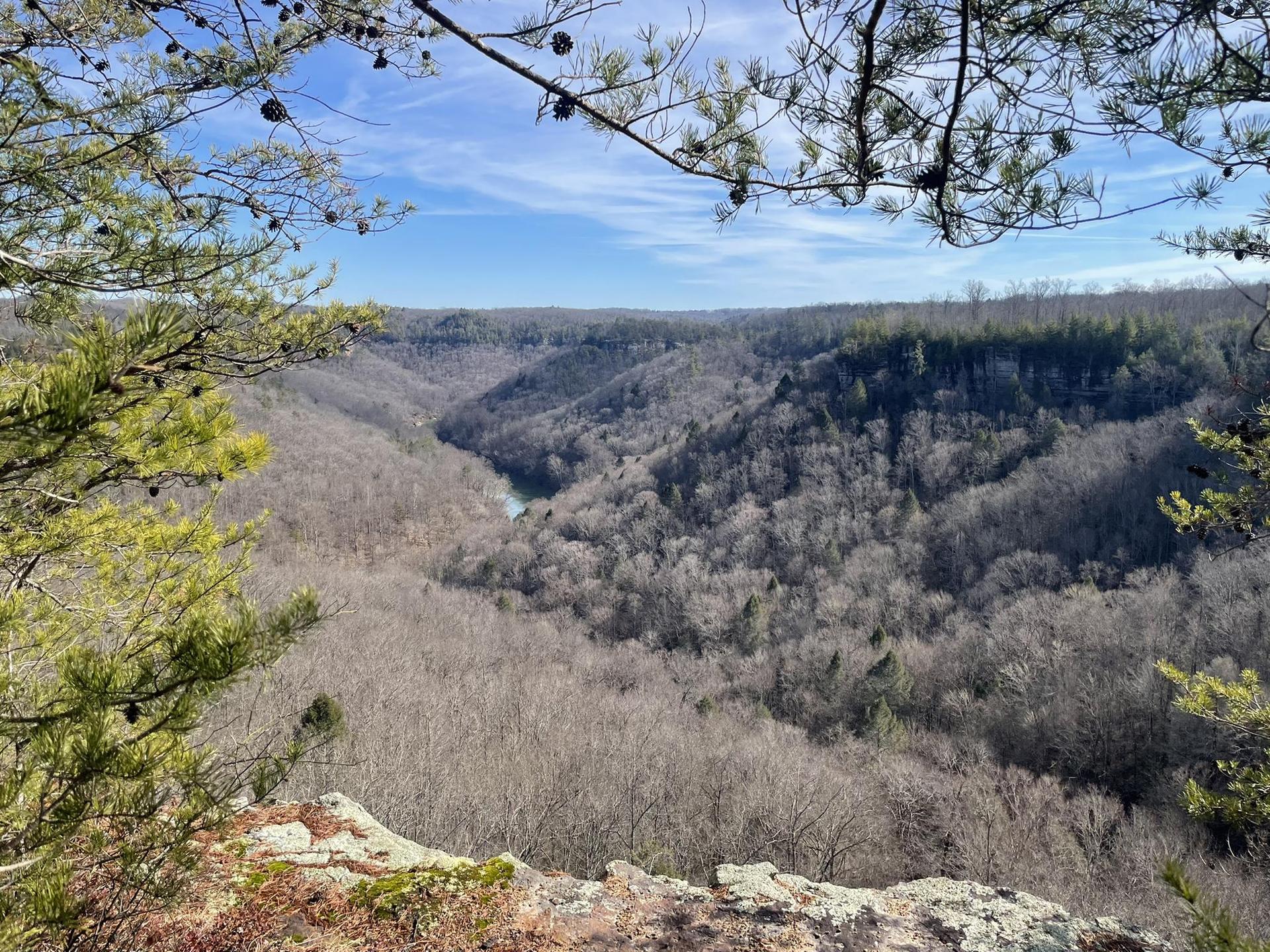 Panoramic view of a forested valley with a winding river under a clear sky.