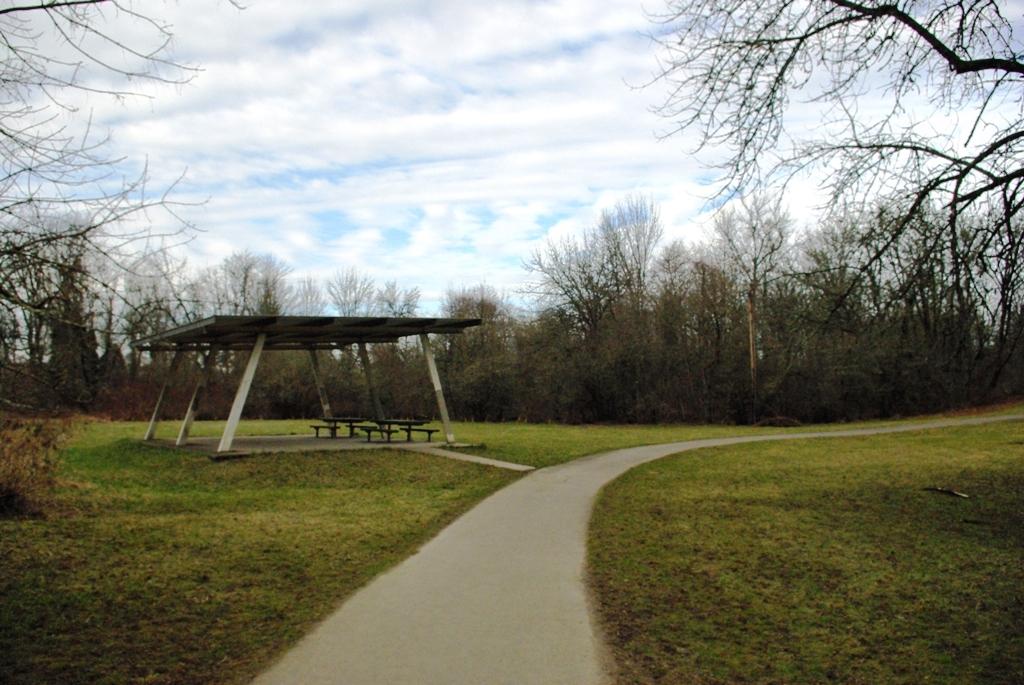 Paved path leading to an empty picnic shelter in a grassy field.