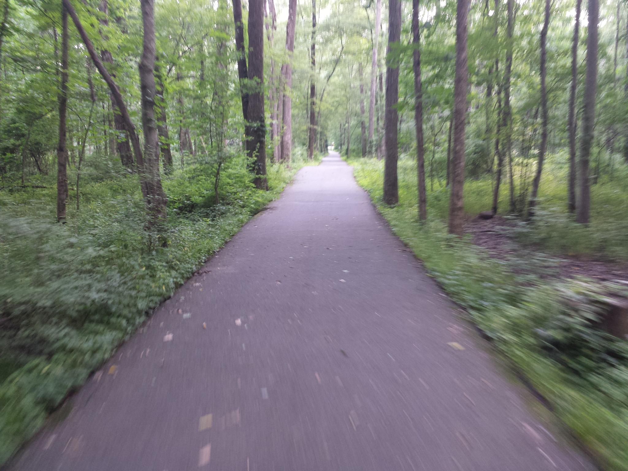 A paved path through a green forest, blurred from motion.