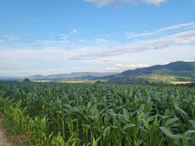 Bench with a view of the Teck and 3 Kaiserberge mountains Mountain