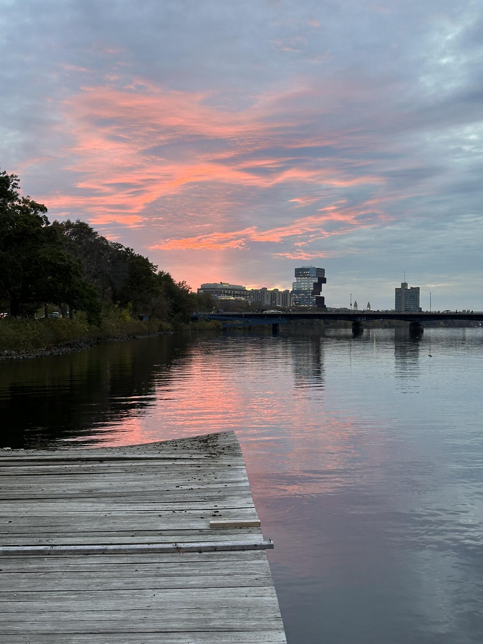 Vibrant pink sunset over water with a wooden dock and distant city buildings.