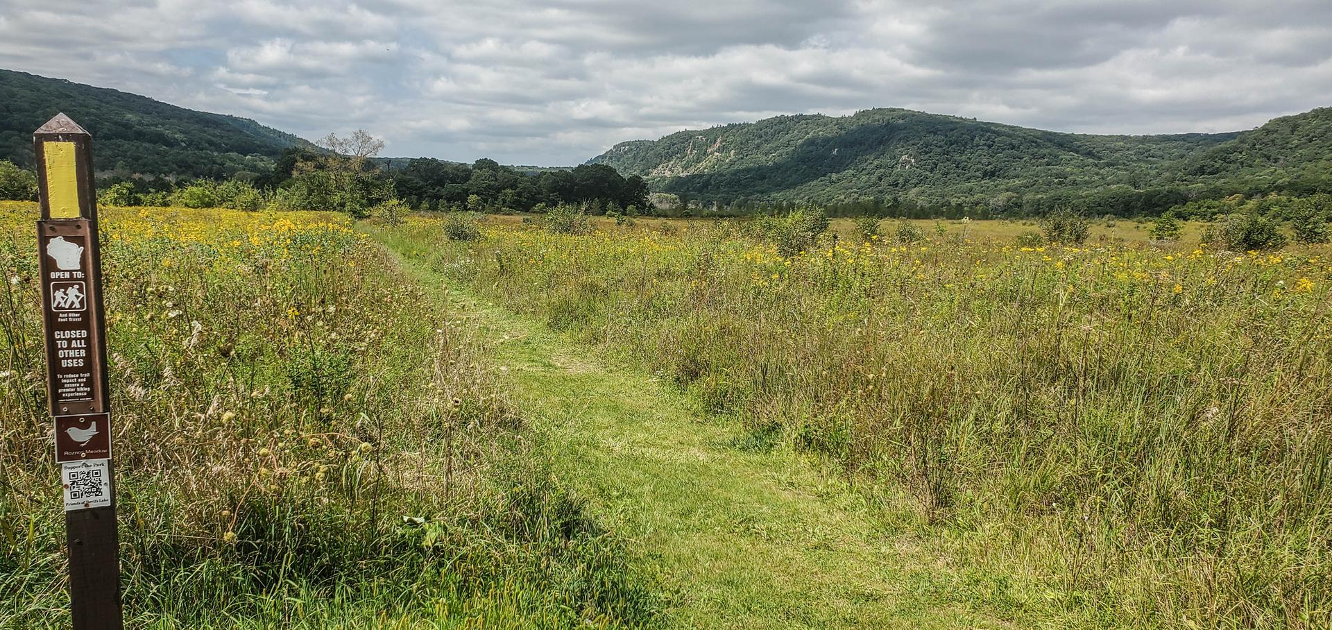 Narrow path through a wildflower meadow with distant green hills under cloudy sky.