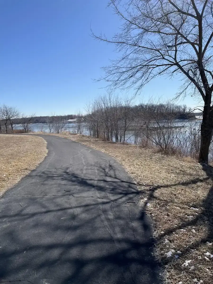 Paved path curves beside a lake with bare trees under a clear sky.