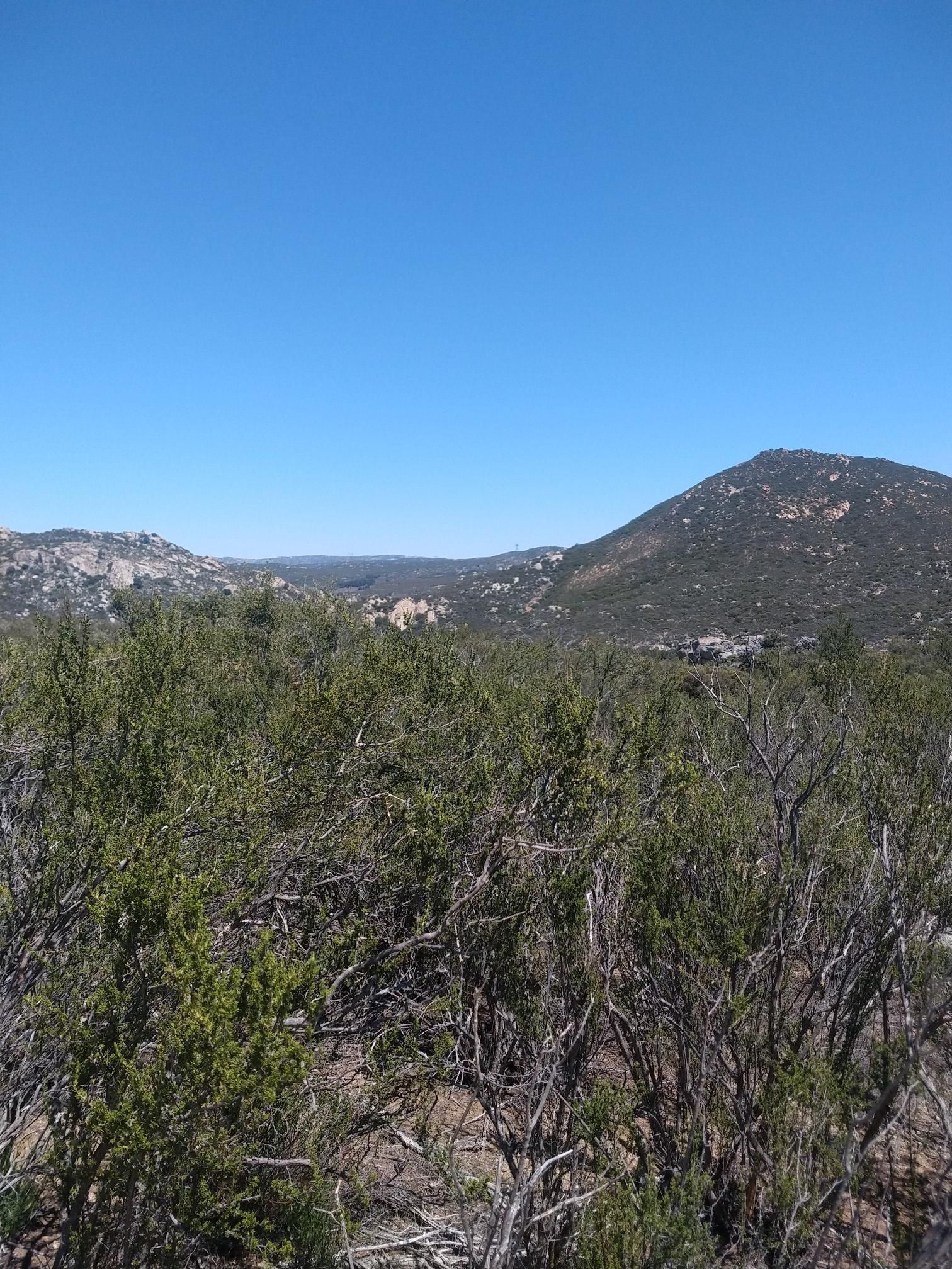 Arid landscape with green shrubs, distant mountains, and a clear blue sky. - Pacific Crest Trail: California Section A