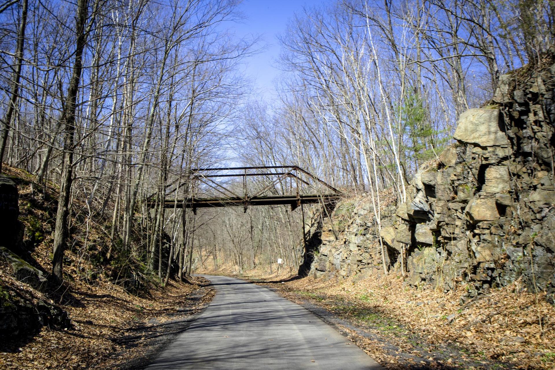 A paved path leads under an old metal bridge in a bare winter forest.