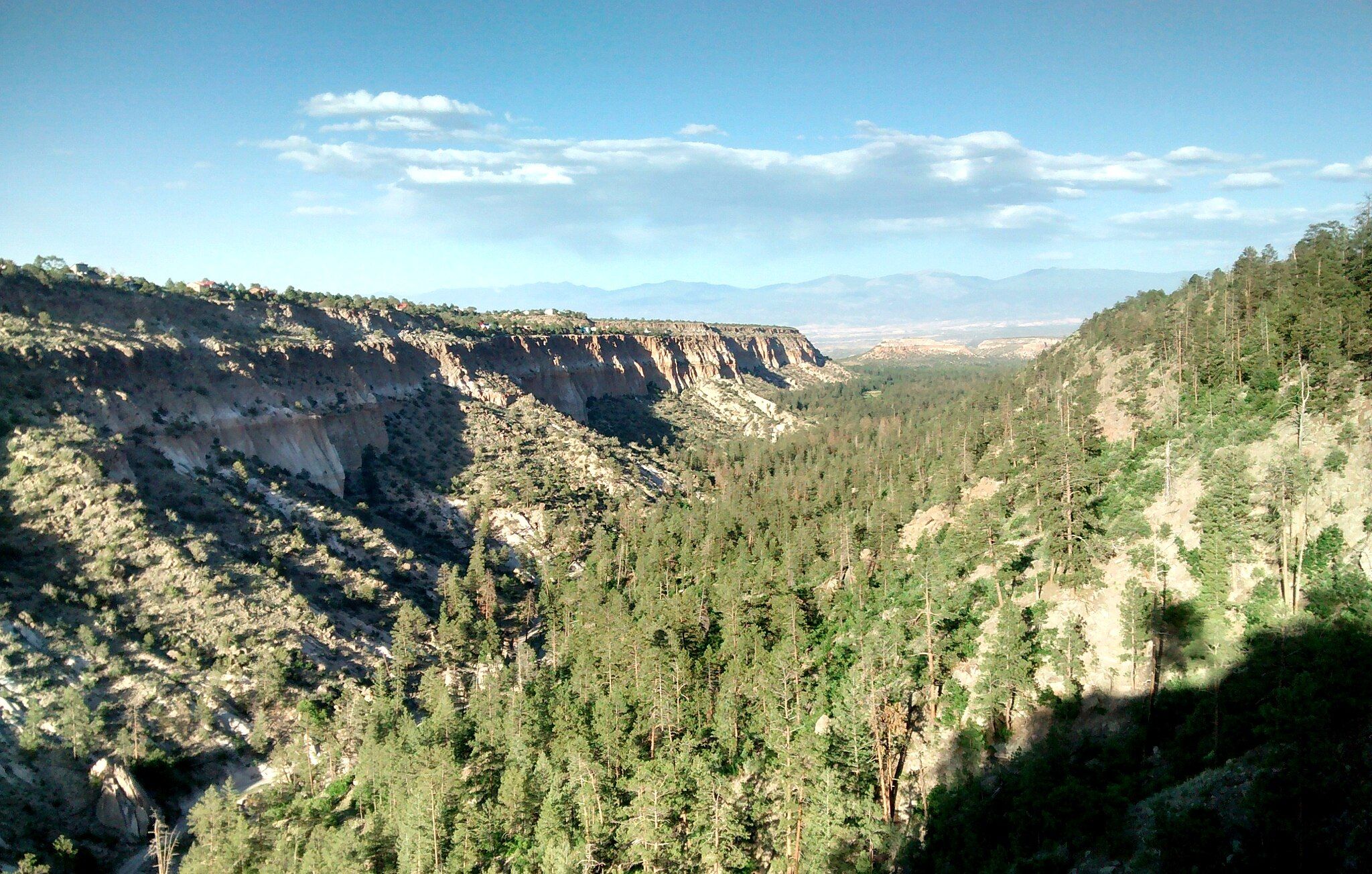 A vast, sunlit canyon filled with pine trees under a blue sky. - View down Pueblo Canyon loop from Entrada Dr & Camino Entrada (hourly, execpt peak hrs)