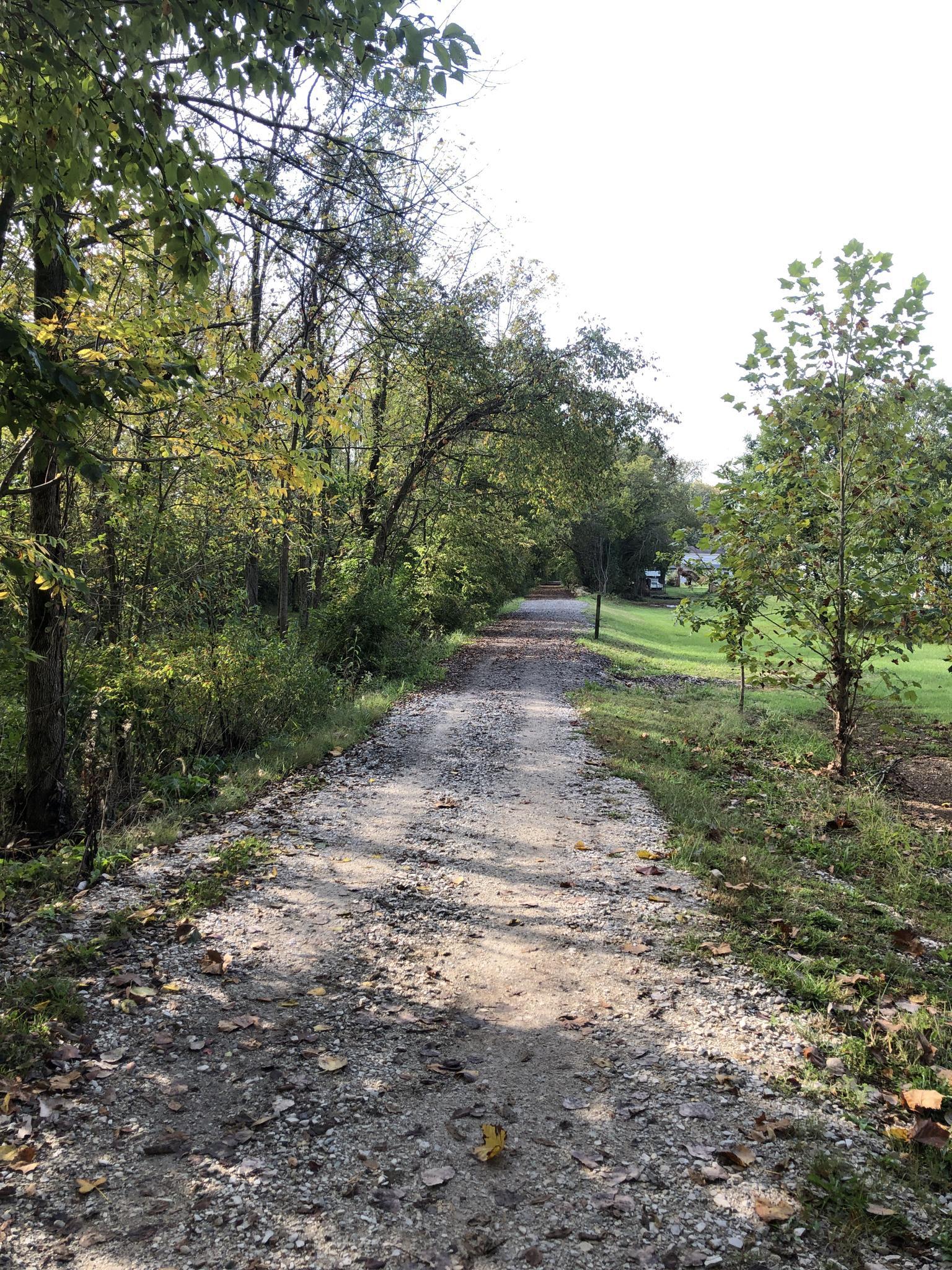 A sunlit gravel path winds through green trees and an open field.