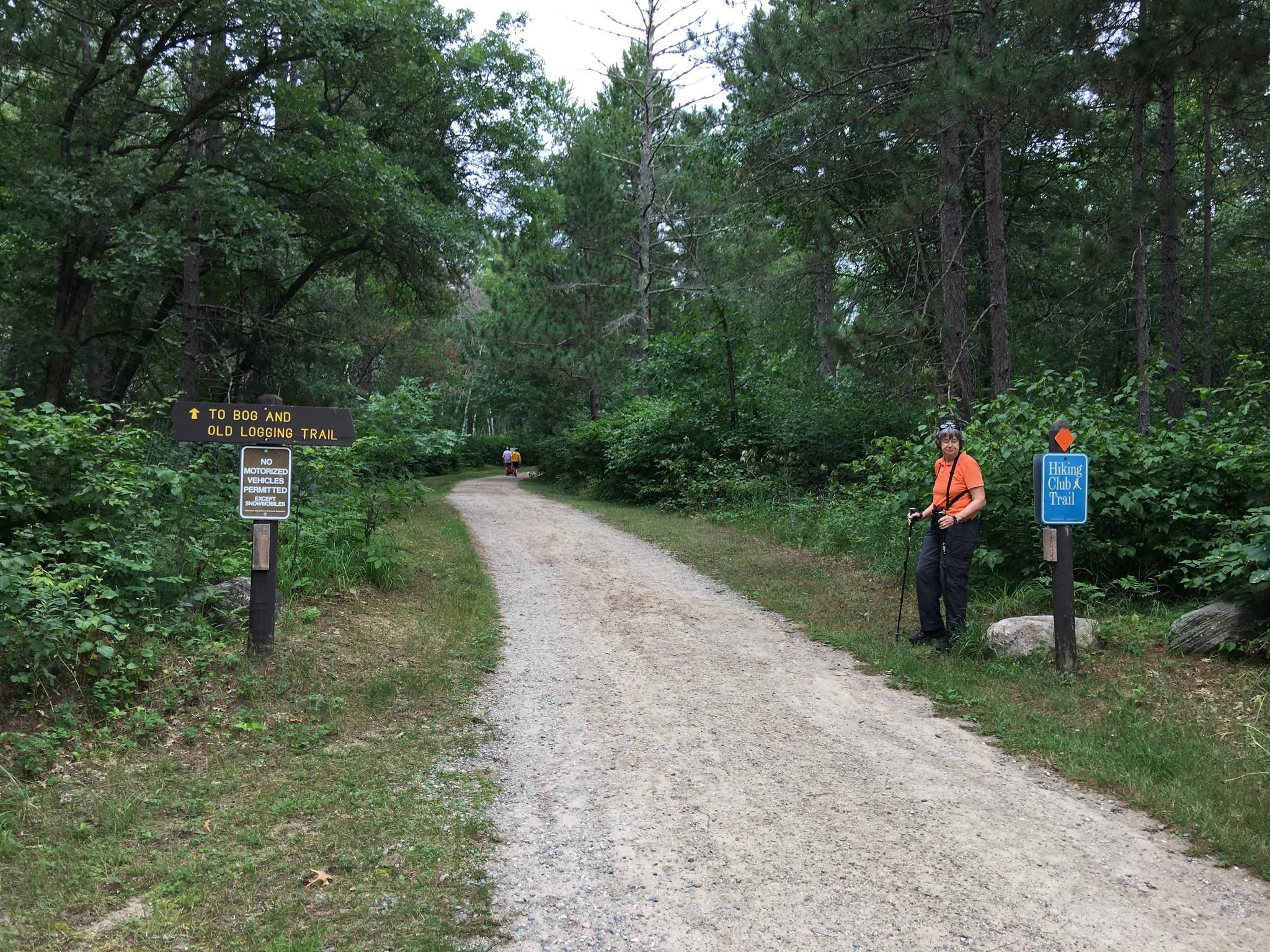 Hiker standing by a trail sign on a dirt path in a green forest. - Bog Walk Trail