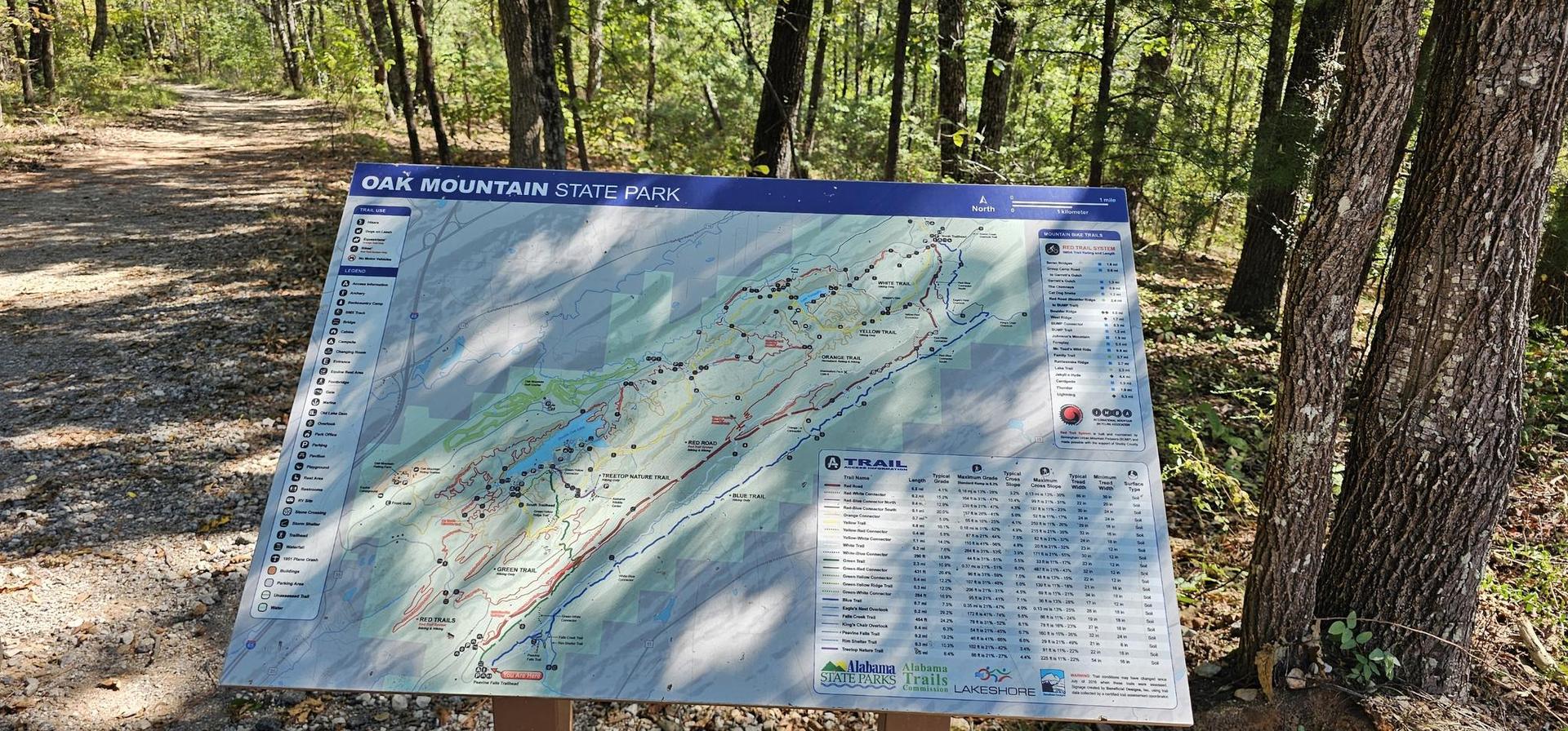 A large map sign stands on a dirt path in a sunlit forest.