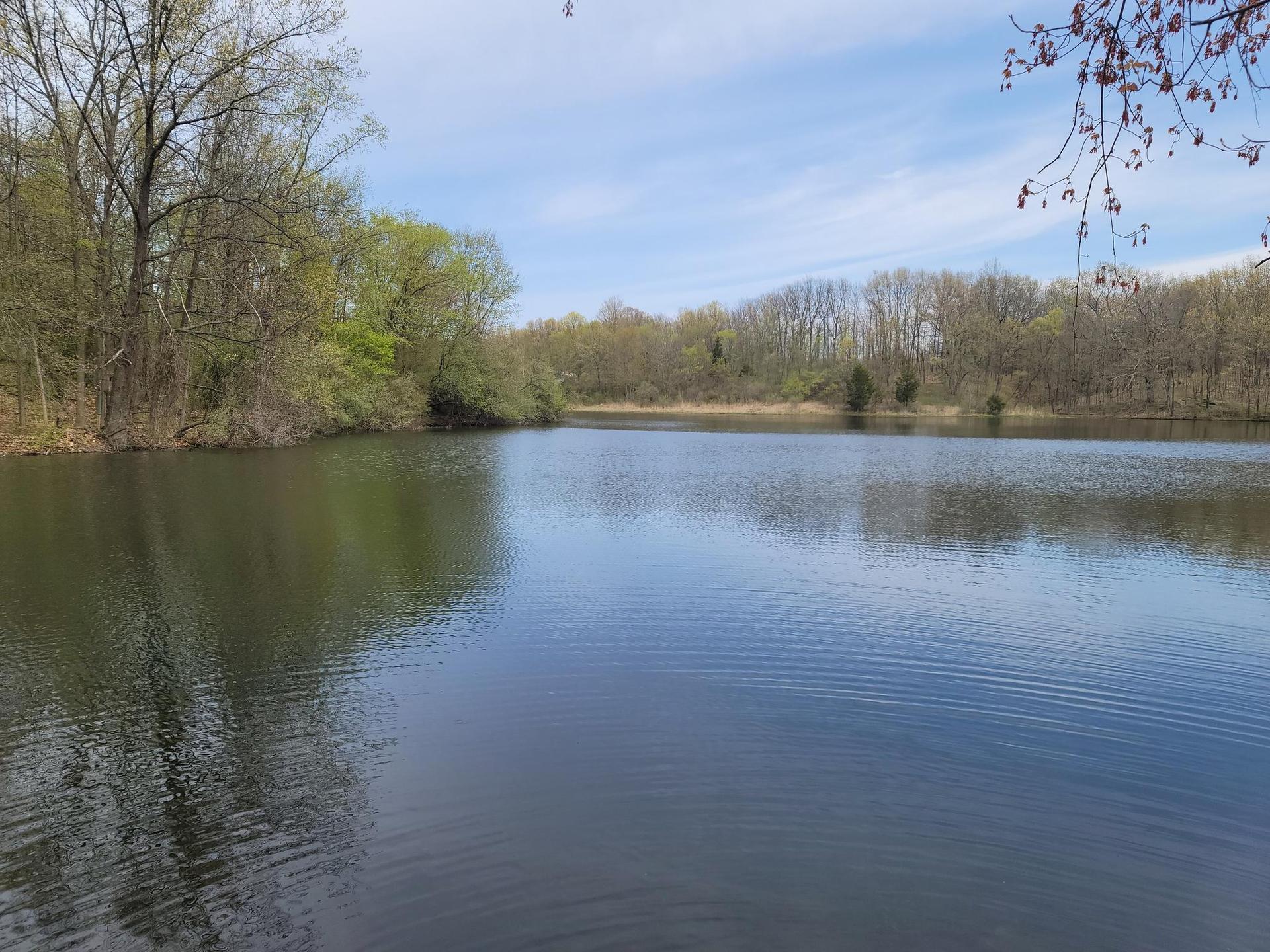 Calm lake surrounded by trees under a bright, clear sky.