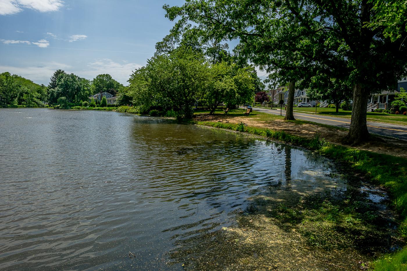 Bright day over a calm lake bordered by trees and a paved road.