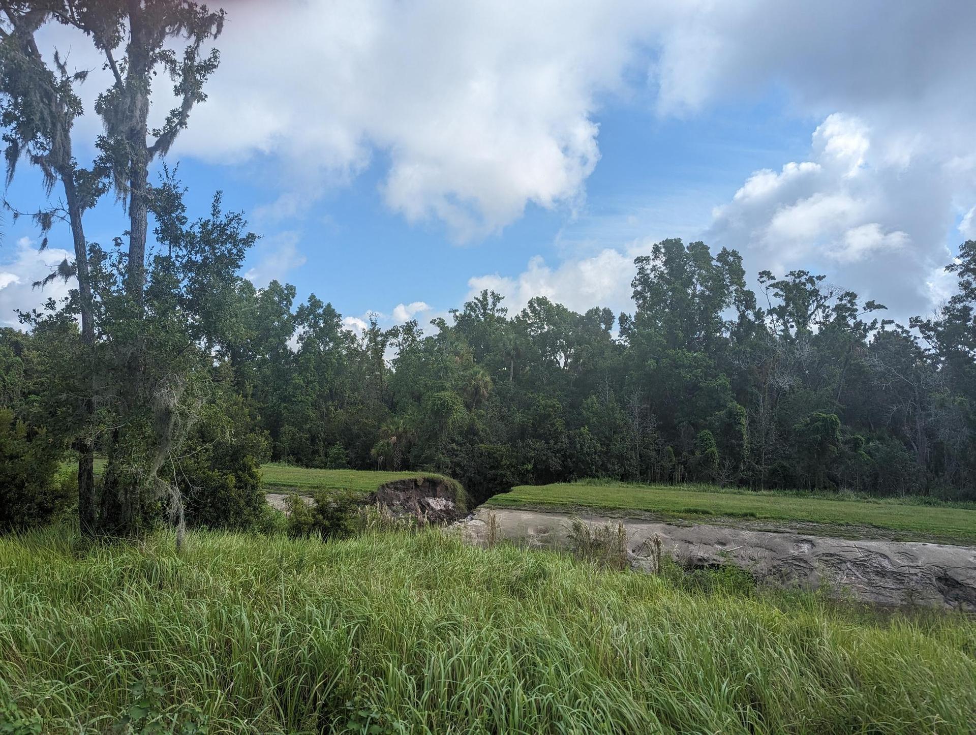Lush green field with dense trees under a partly cloudy sky.