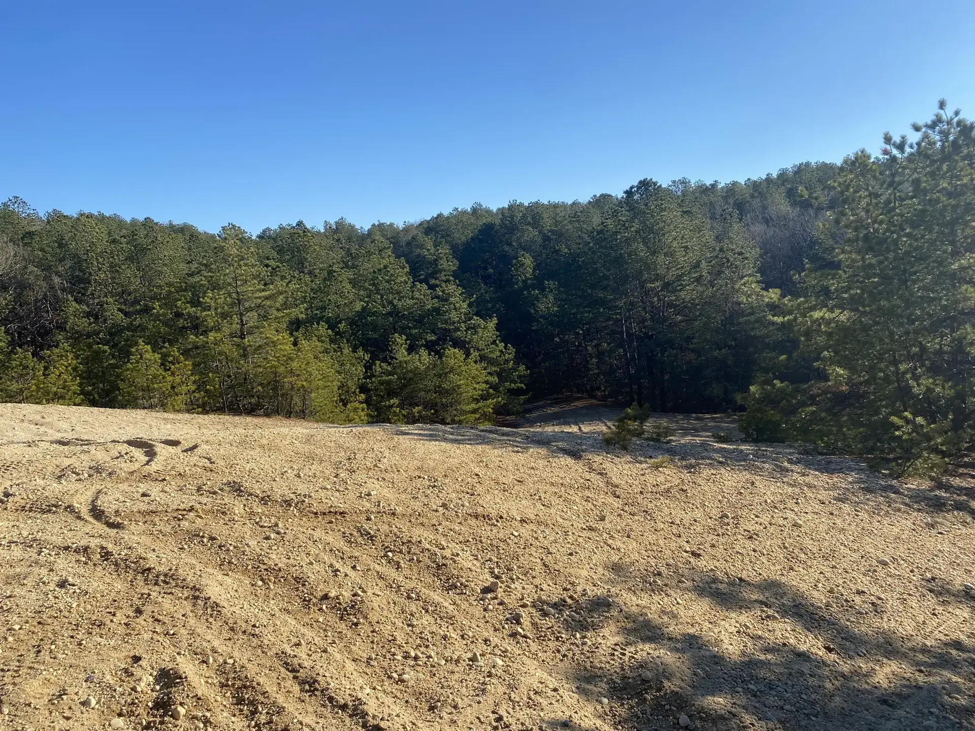 Sandy, disturbed ground with tire tracks leading to a dense forest under clear sky.