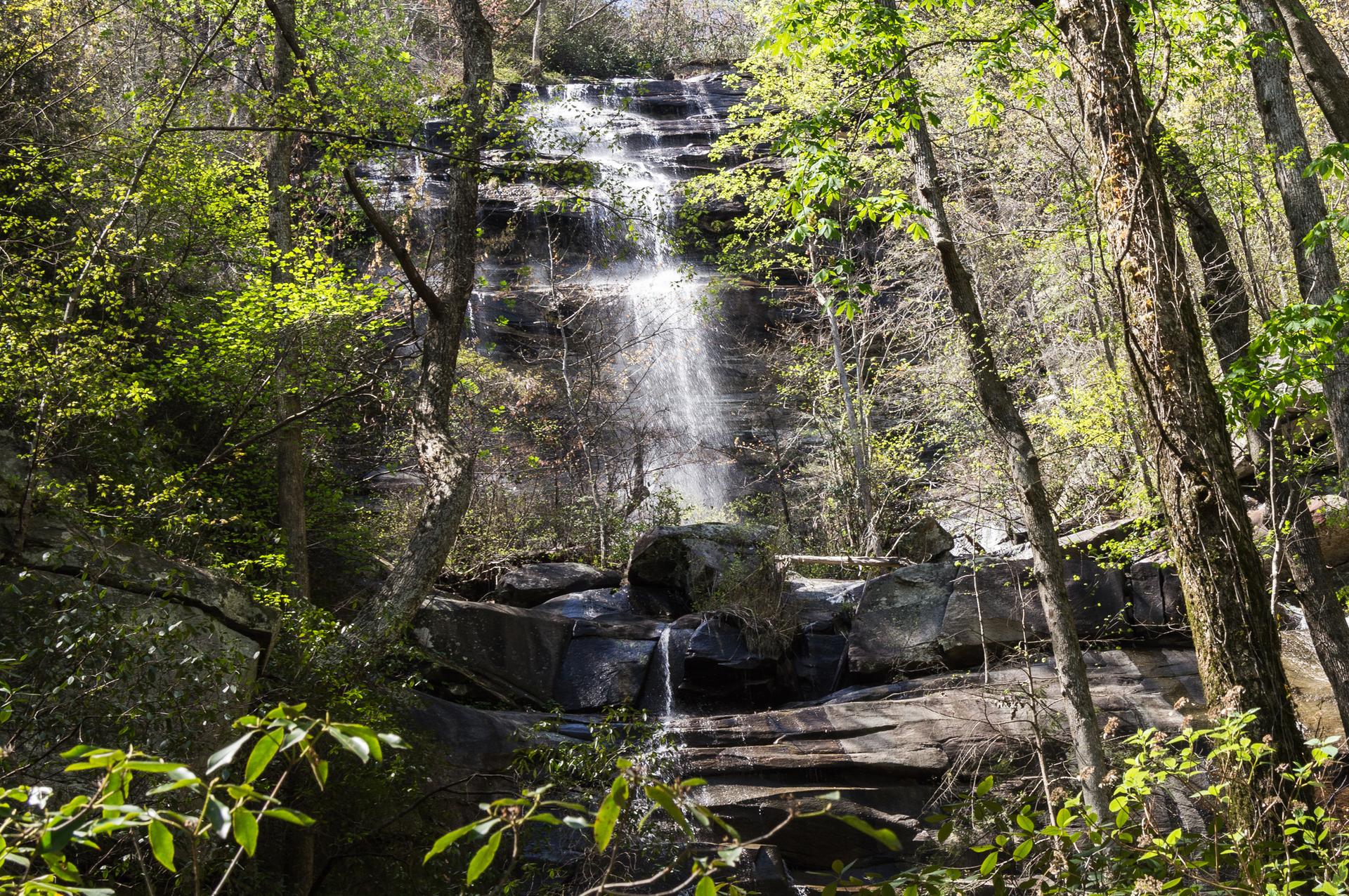 Sunlit waterfall flowing over rocky ledges in a vibrant green forest.